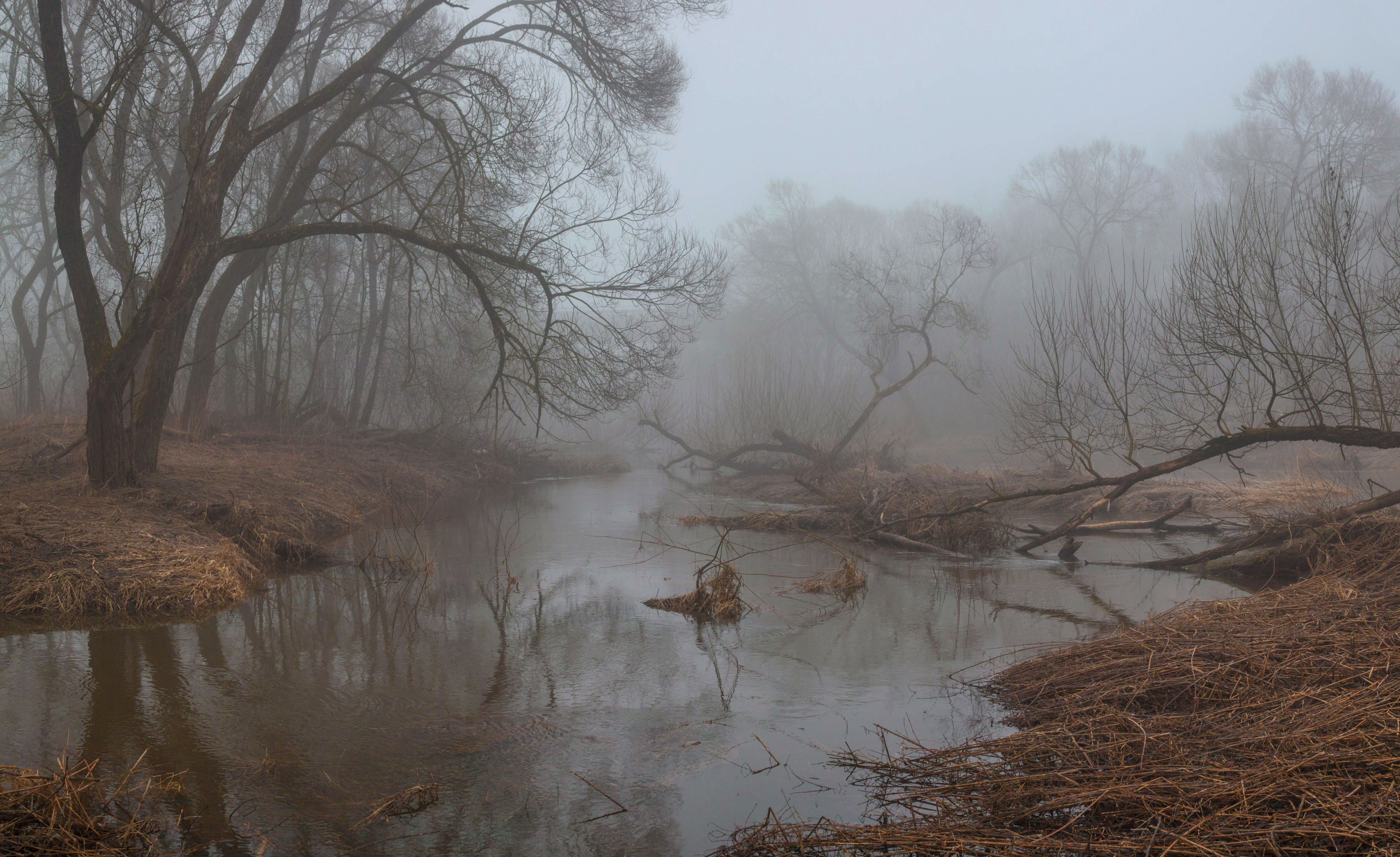 весна, река, туман, Свистков Александр