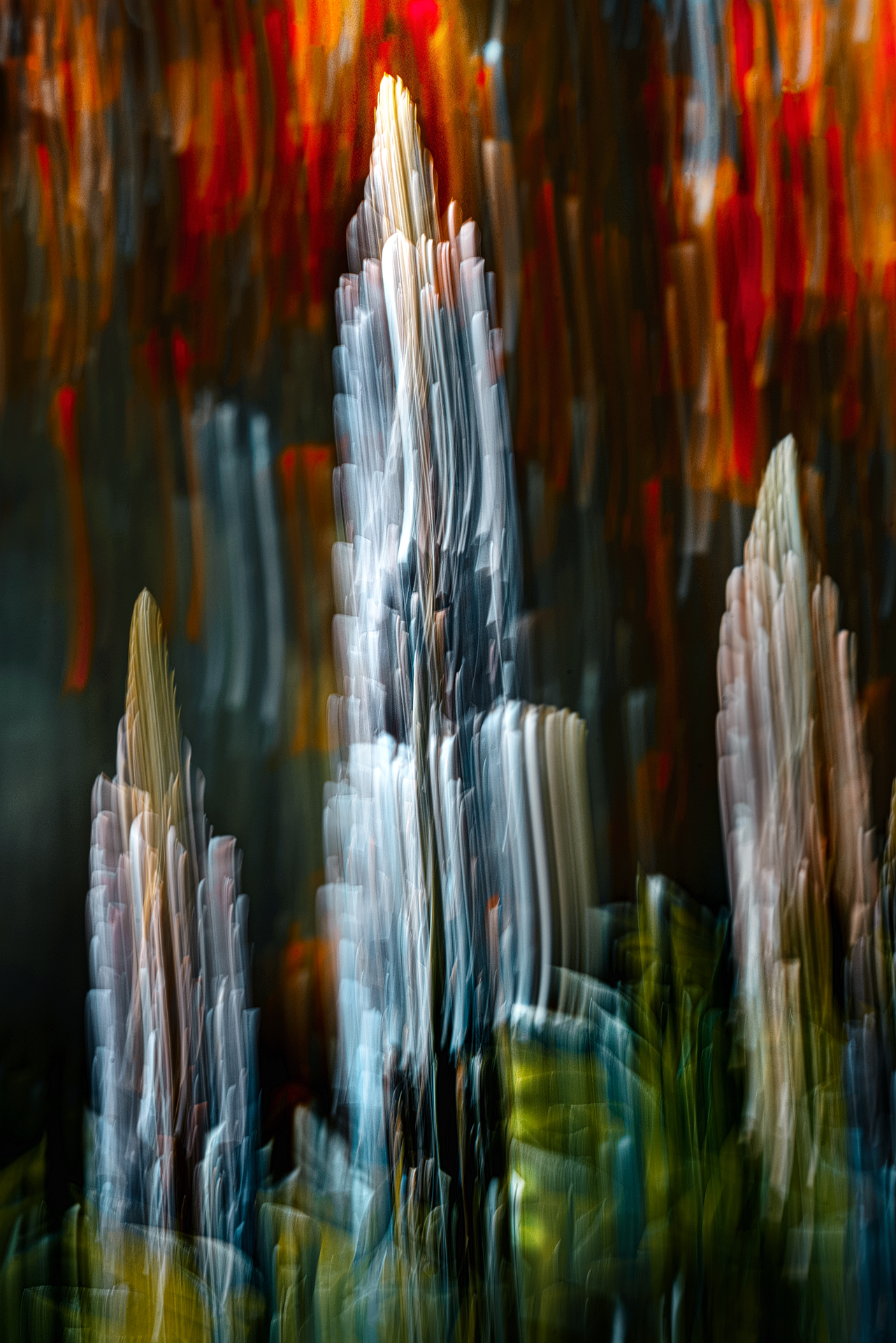 icm, люпин, Неля Рачкова