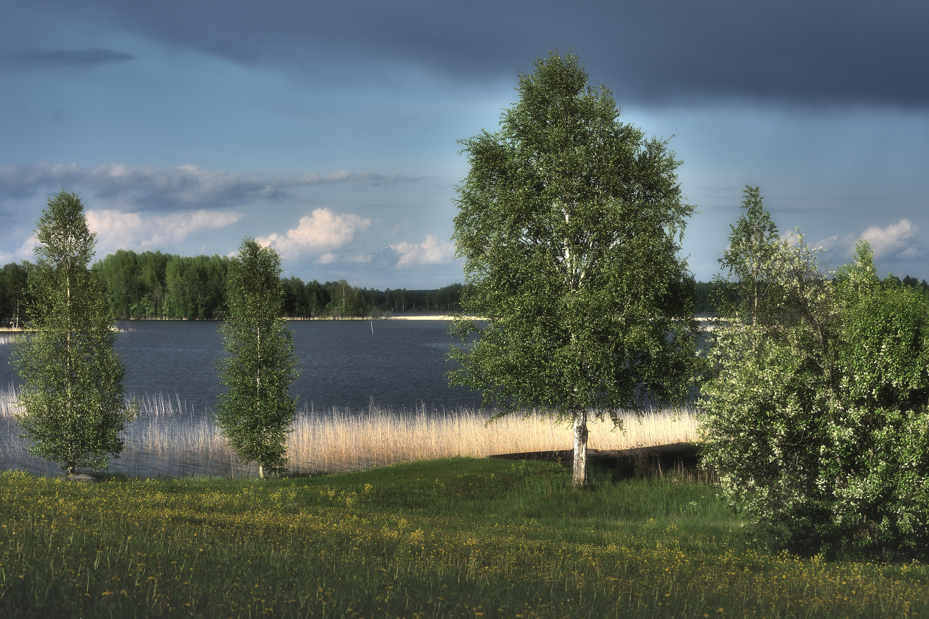 , Алексей Никонов