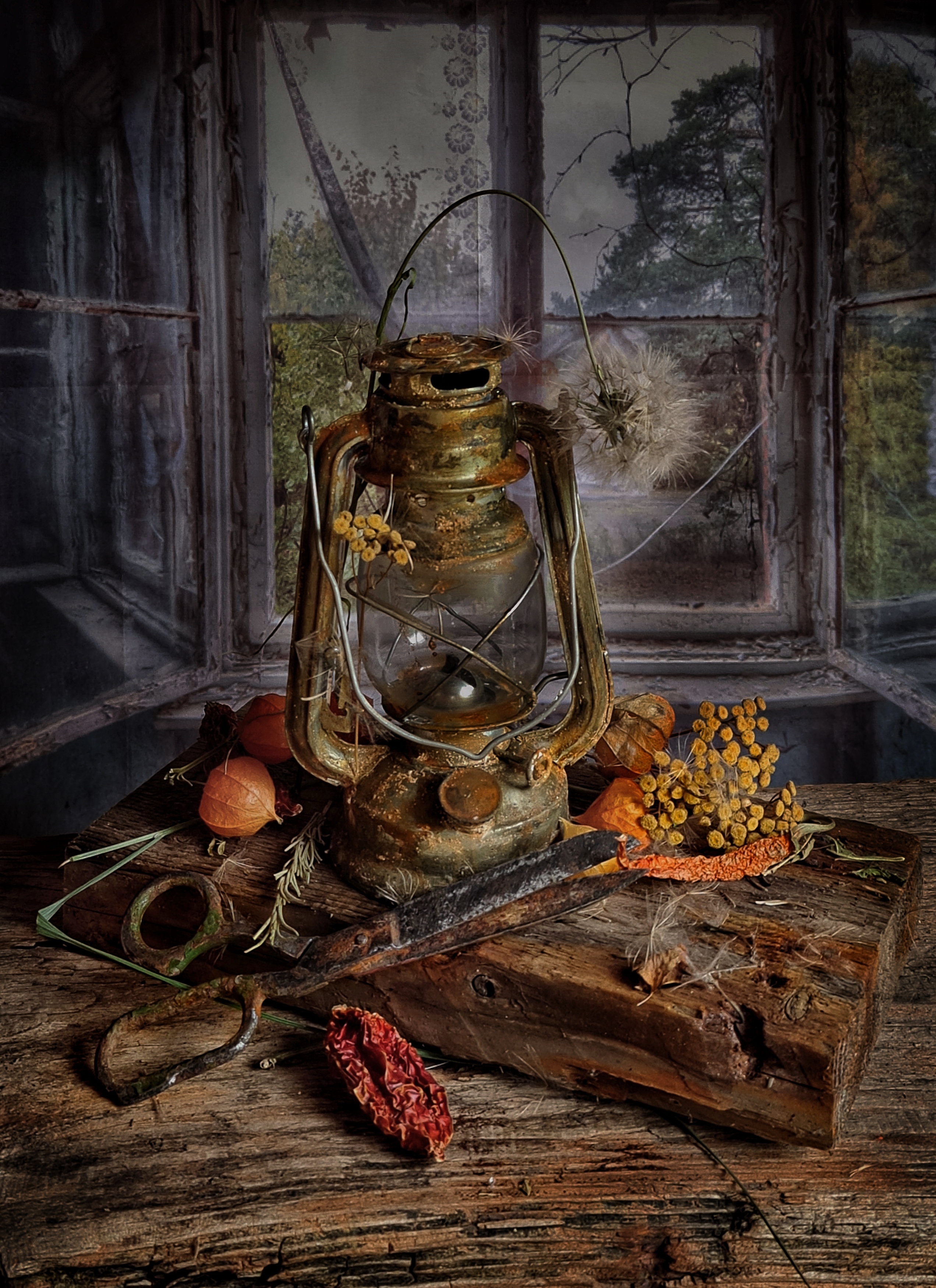 , Савчук Анатолий