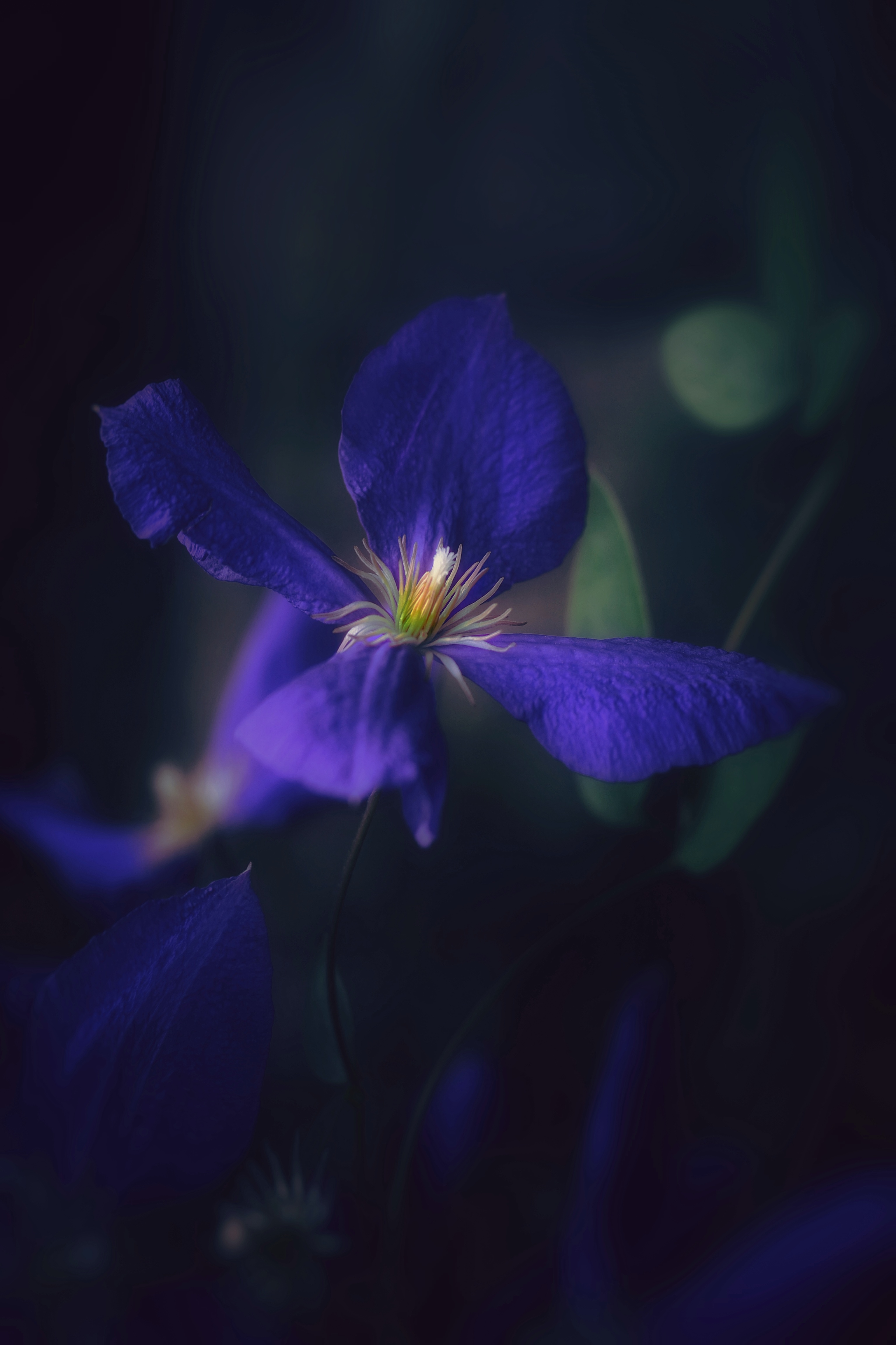 , Юлияна Стоянова