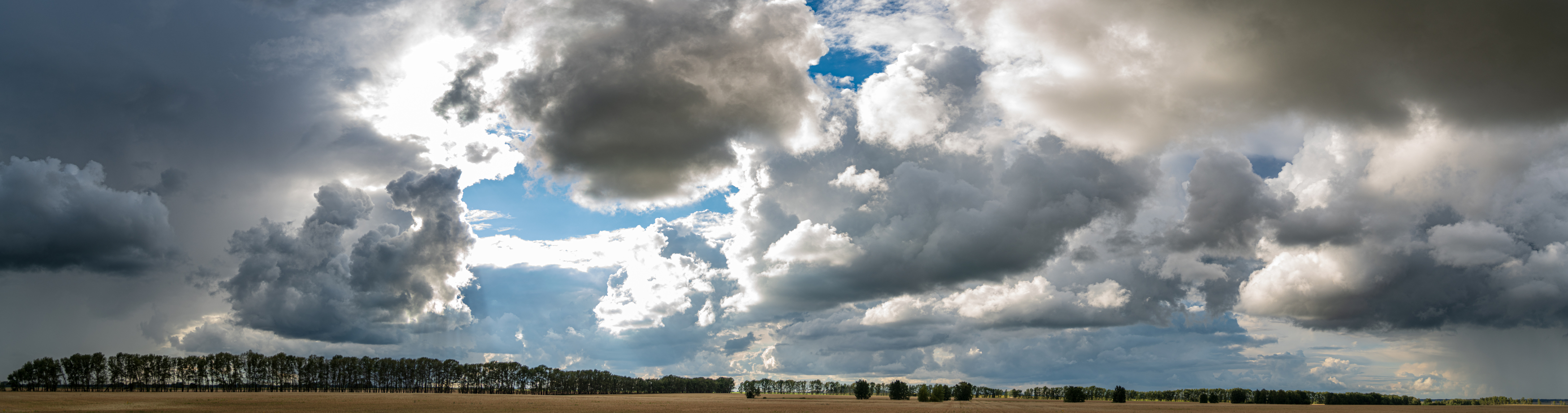 Алтай, лес, облака, поле, поля, Denis Koshkin