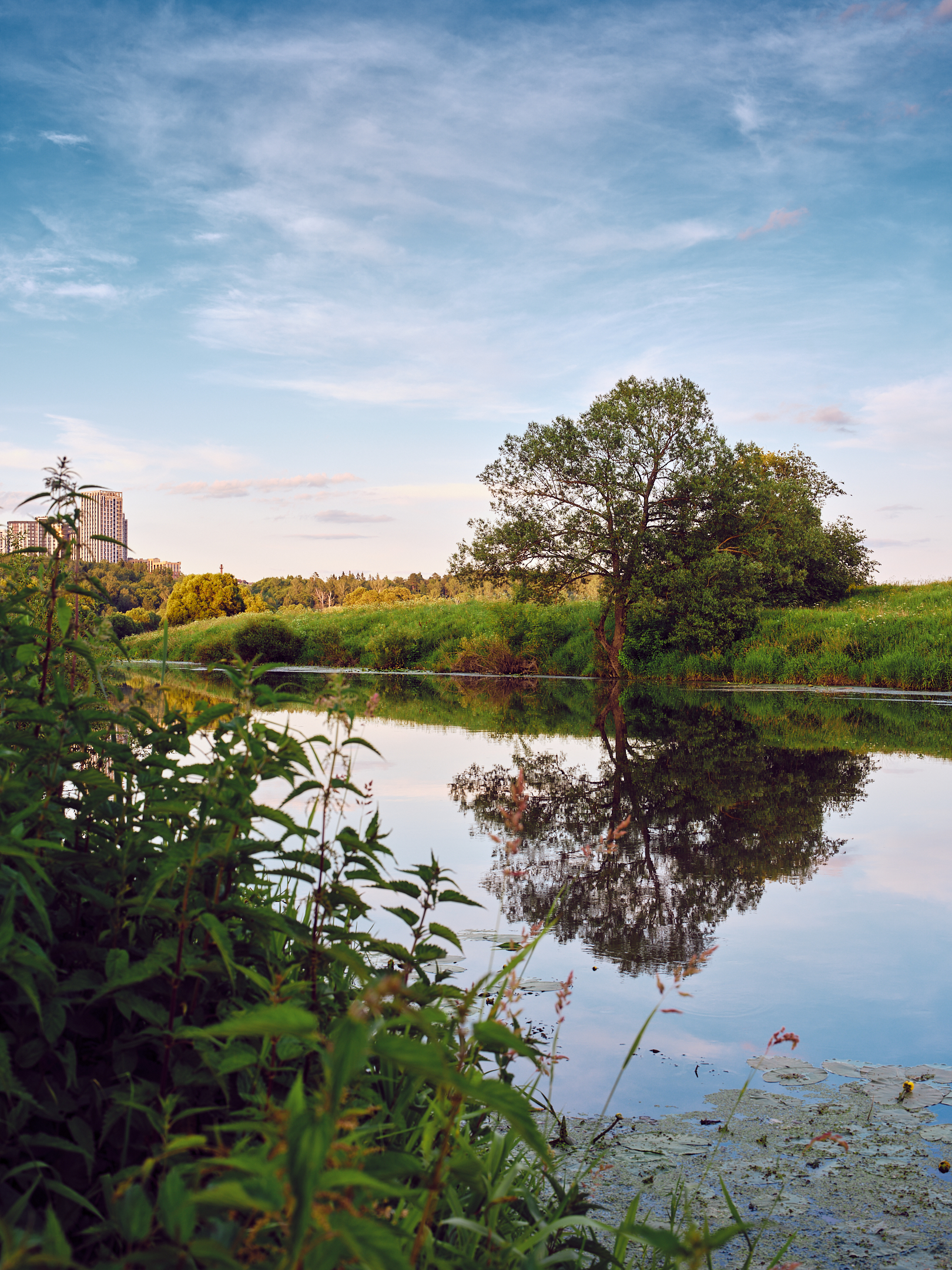 , Дыбов Дмитрий