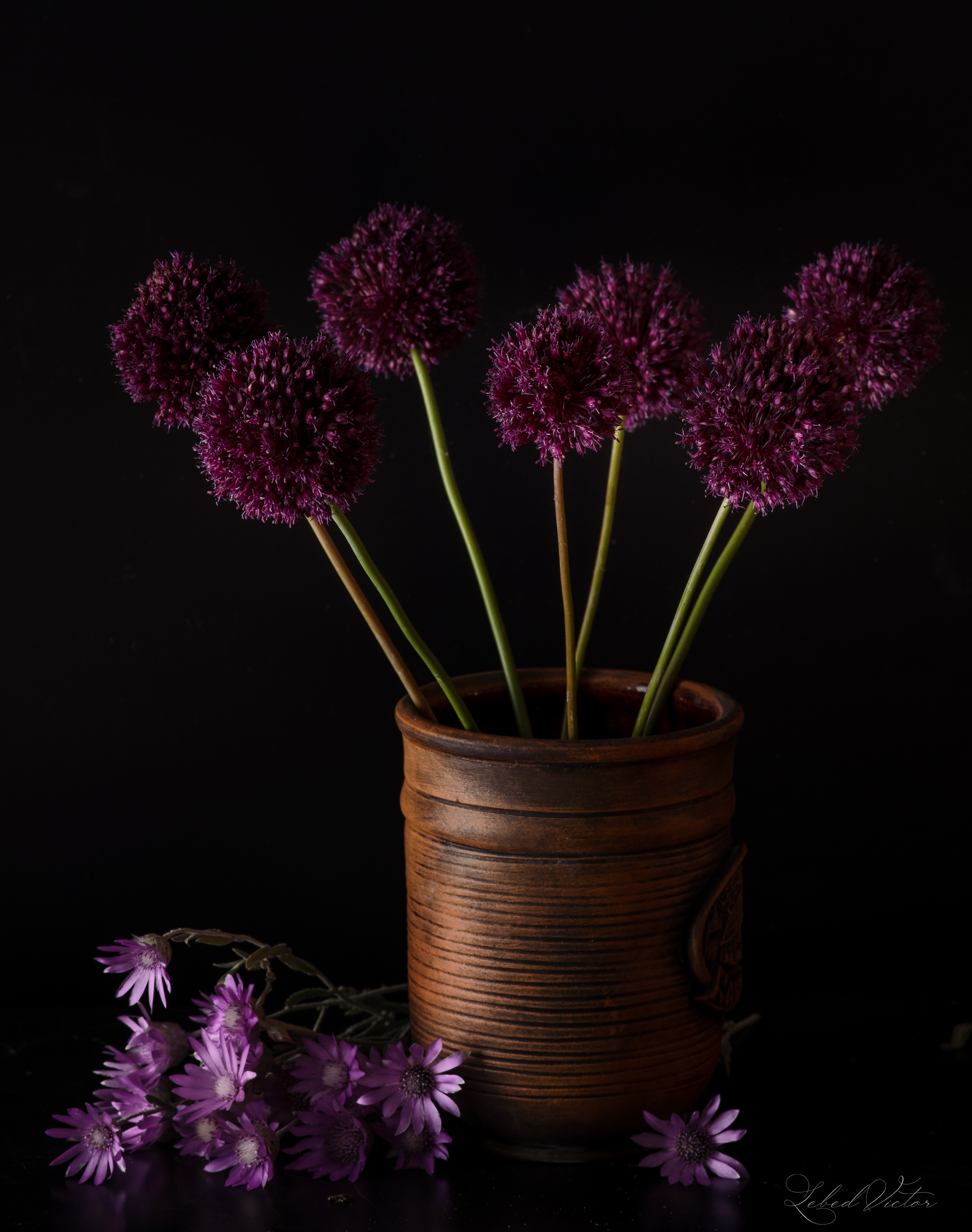 , Виктор Лебедь