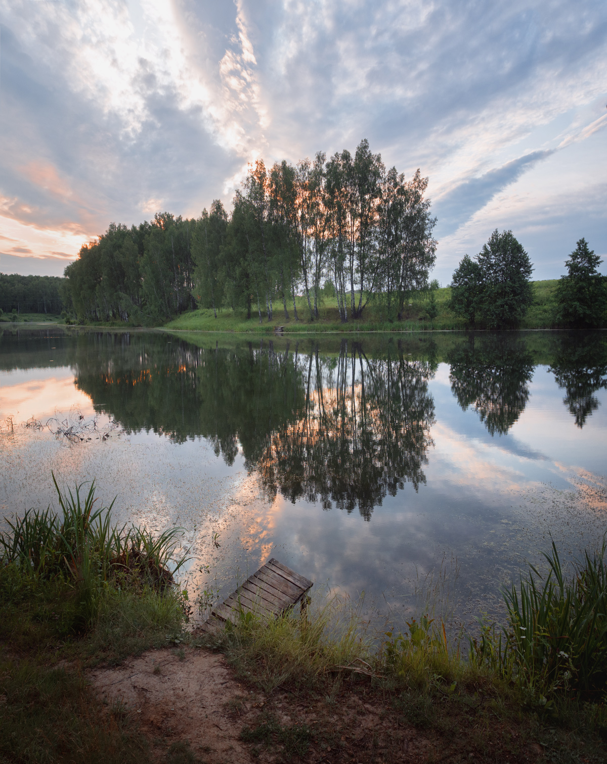 лес, свет, утро, природа, Баранов Олег
