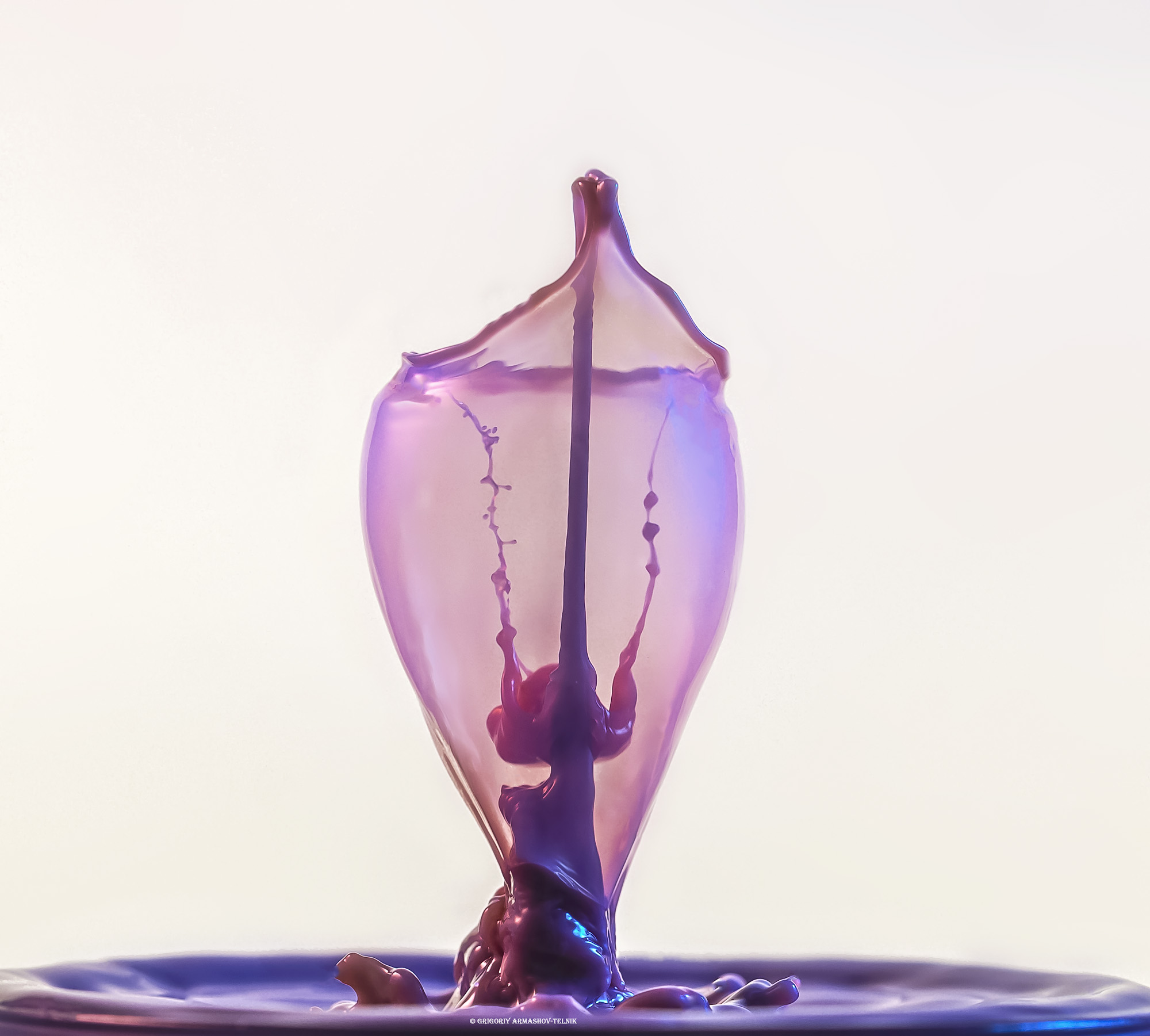 #macro #drops #milk #pink #watercolor #liquid , Армашов-Тельник Григорий