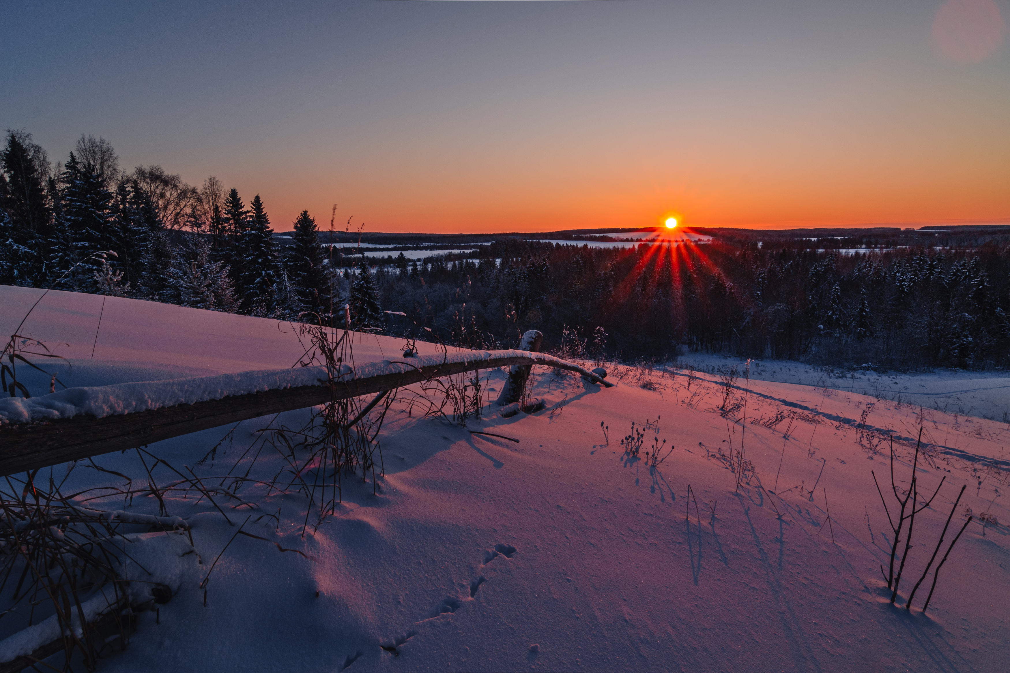 winter, sunrise, frosty, fence, snow, пейзаж, рассвет, зима, забор, Набоков Андрей
