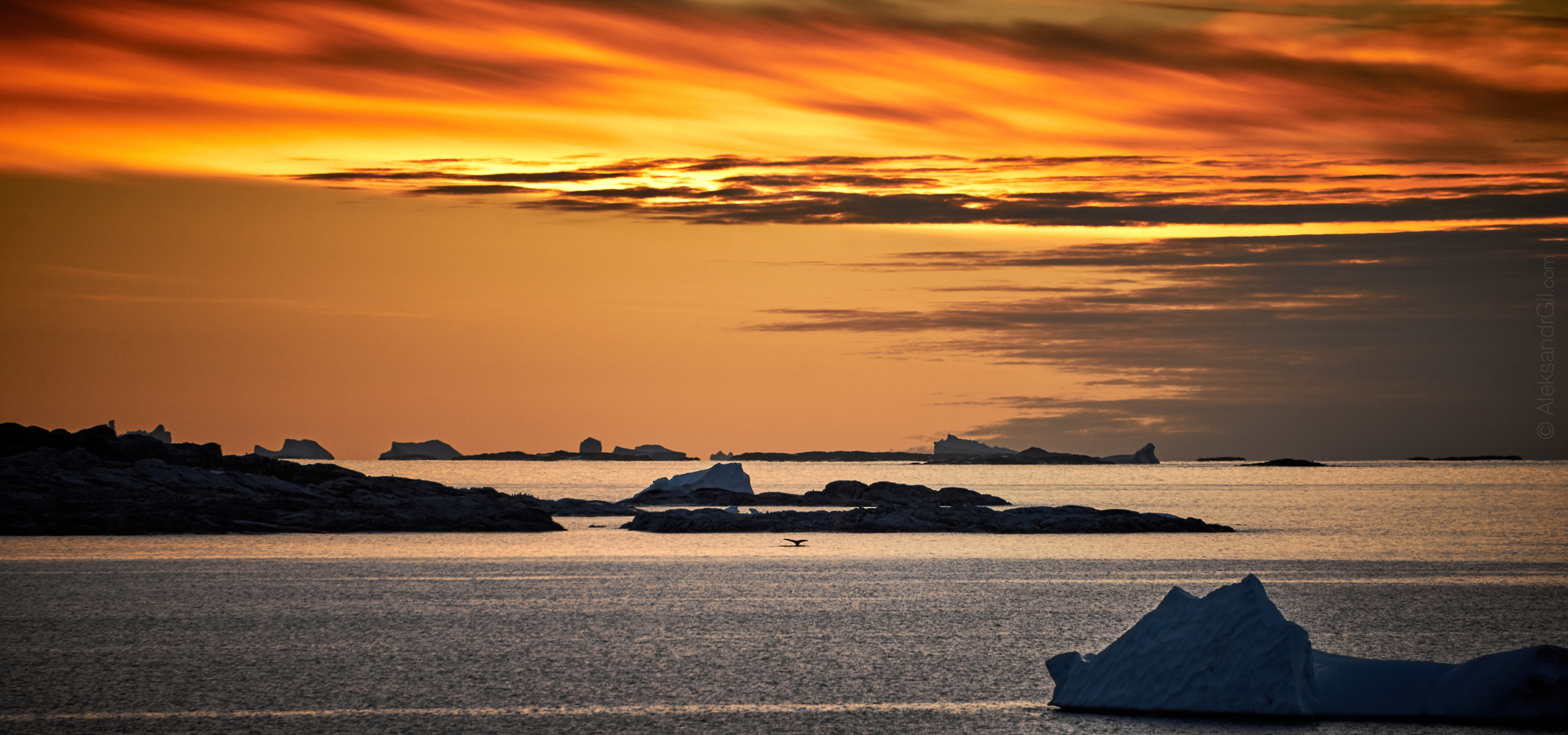, Гиль Александр