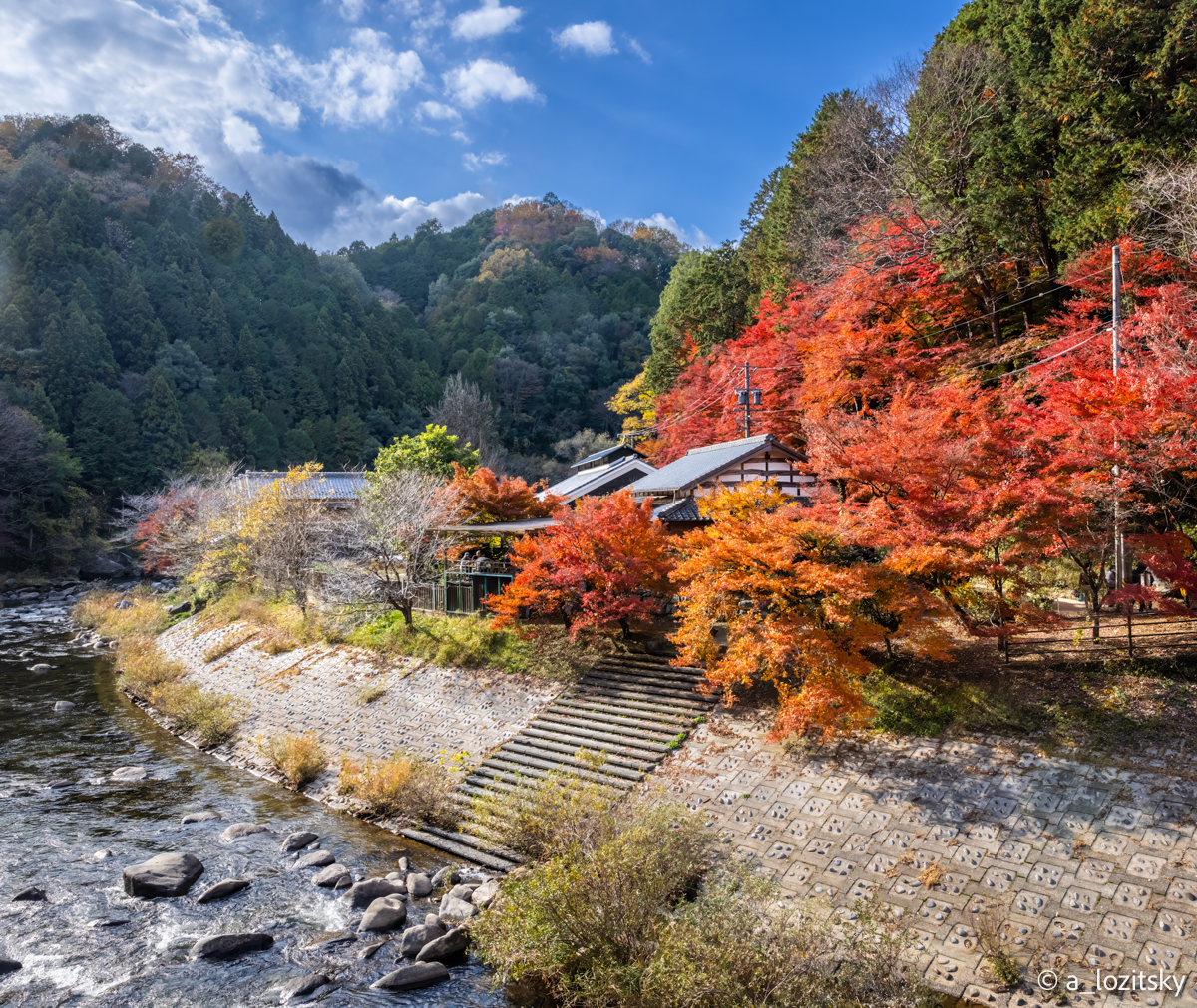 , Лозицкий Александр