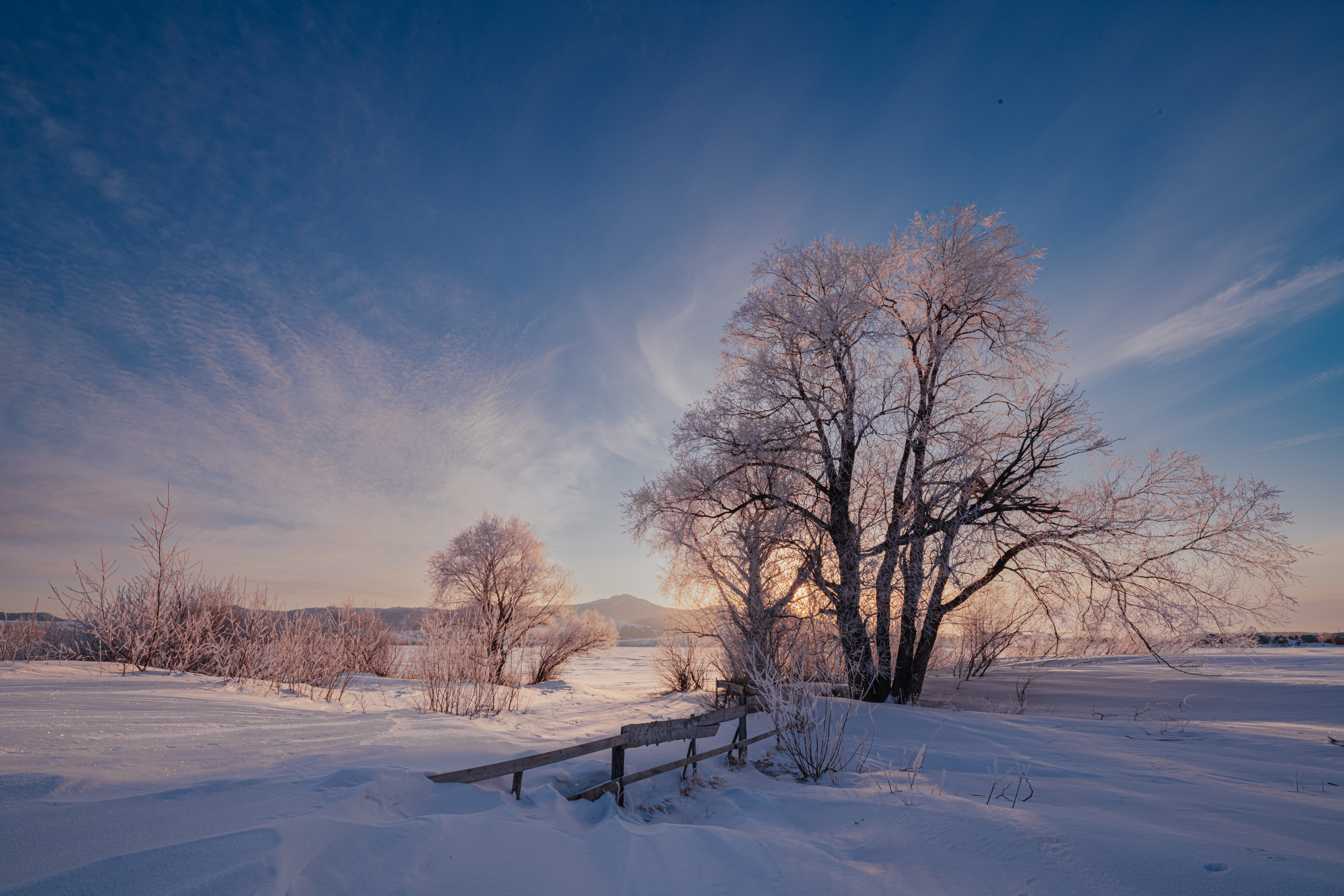 Зима, лес, озеро, холмы, алтай, Denis Koshkin