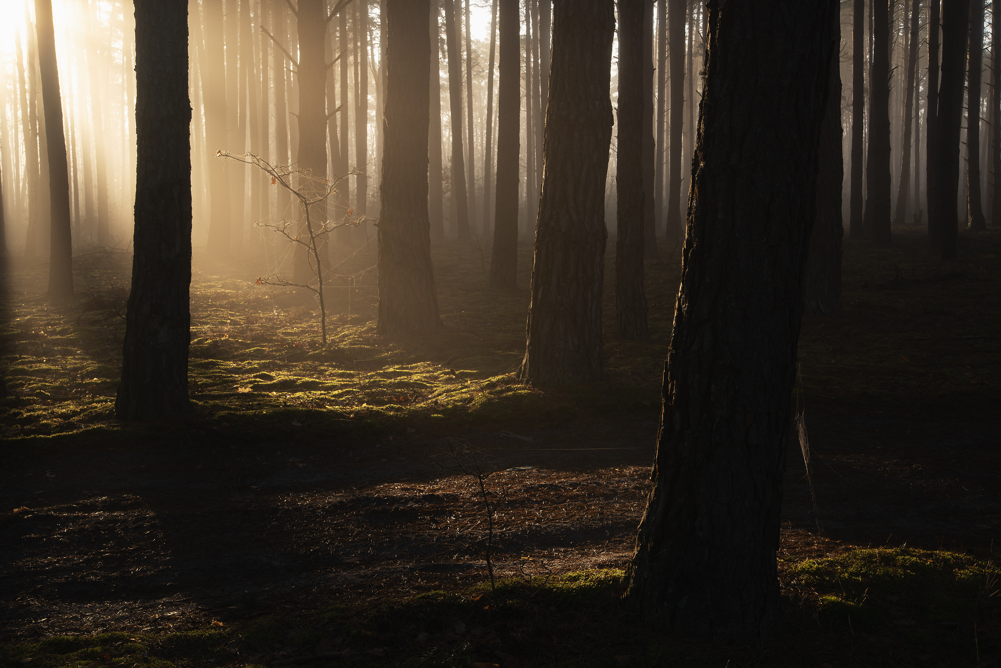 , Захаров Дмитрий