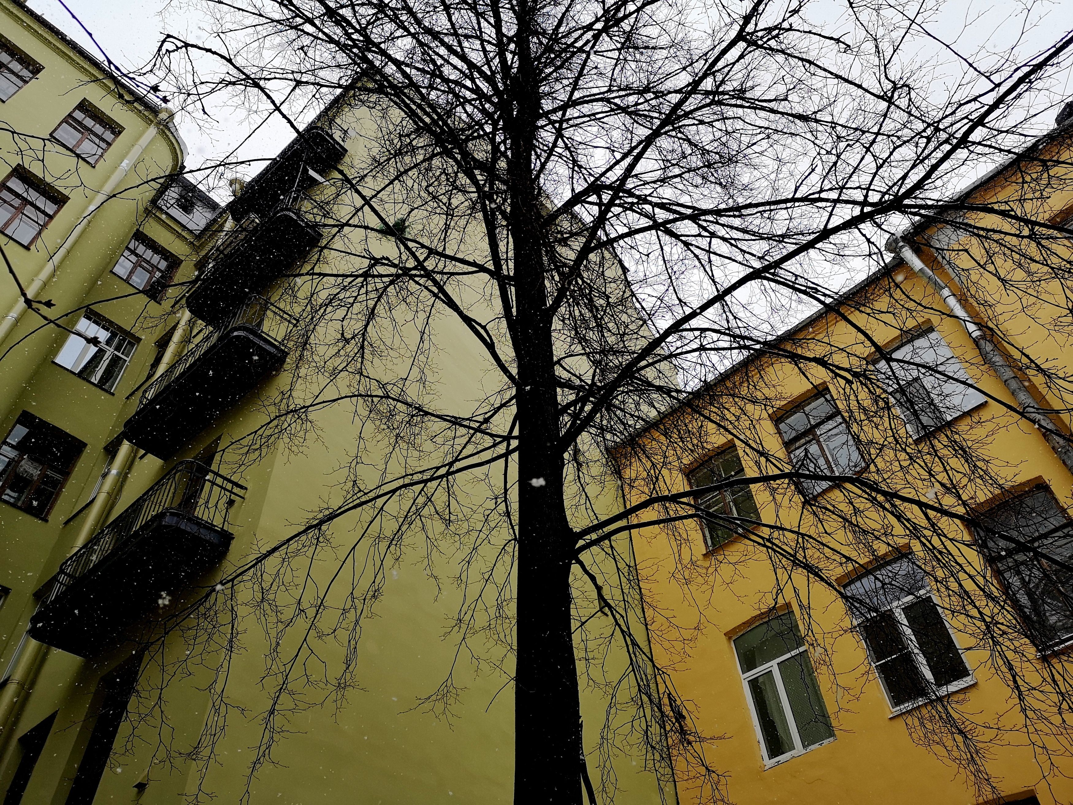 , Антон Лаба