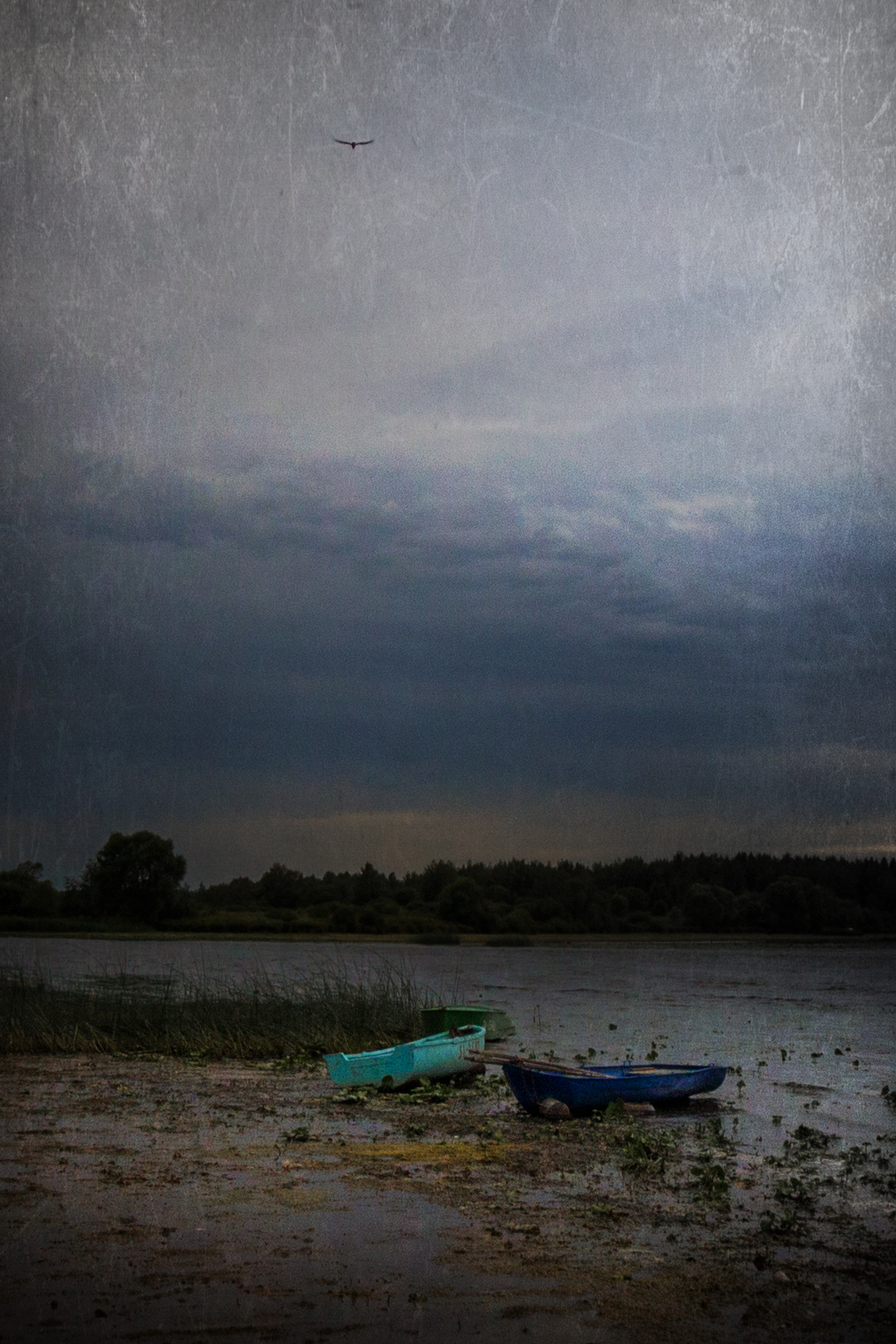 ярославская область, волга, солоница, лодки, непогода, Елена Рубинская