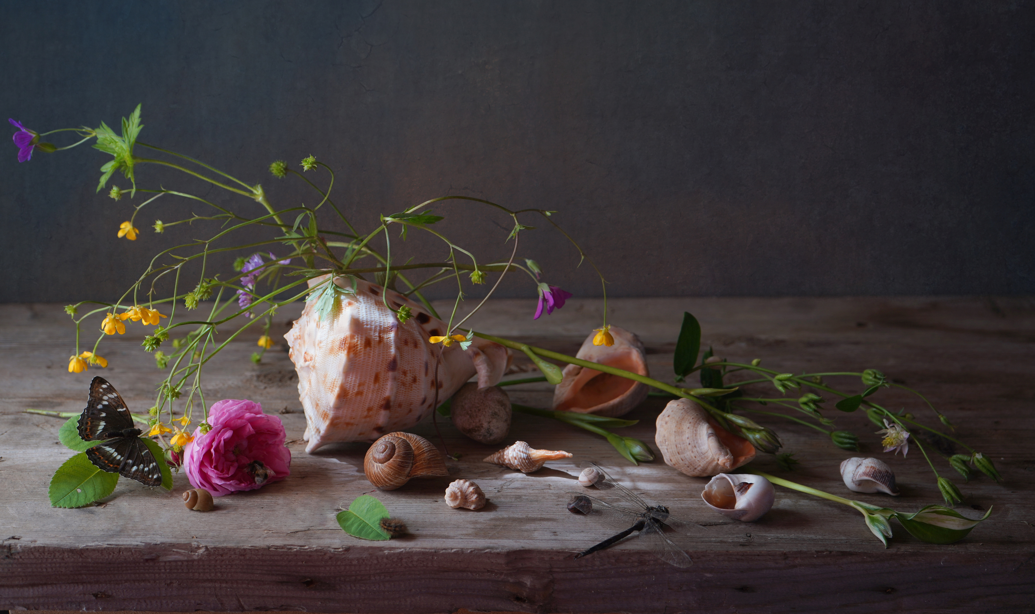 , Хохлова (Ермохина) Наталья