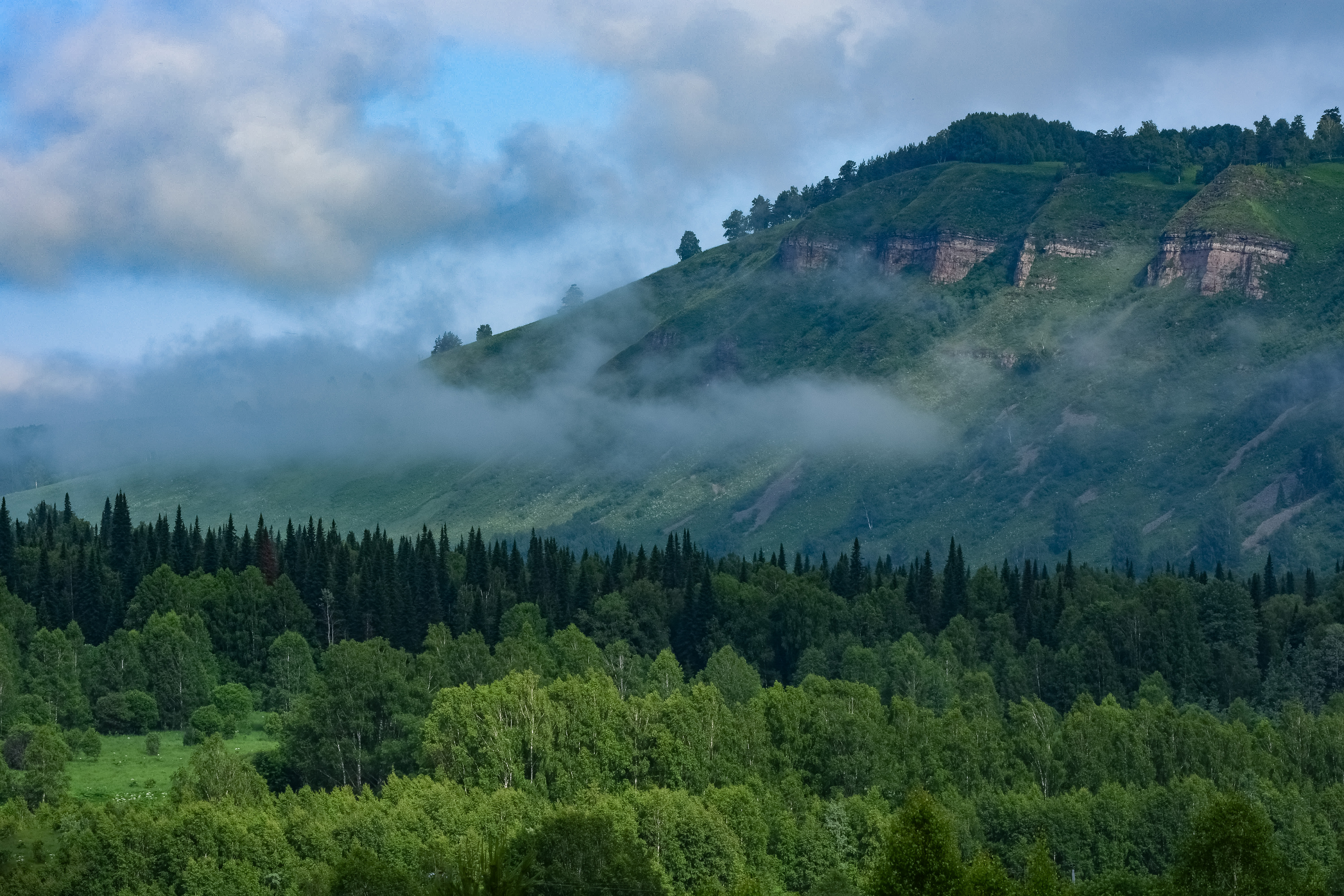 кузбасс, подкатунь, лето, июнь, утро, вид, лес, катунские утёсы, после дождя,, Холзаков Вячеслав