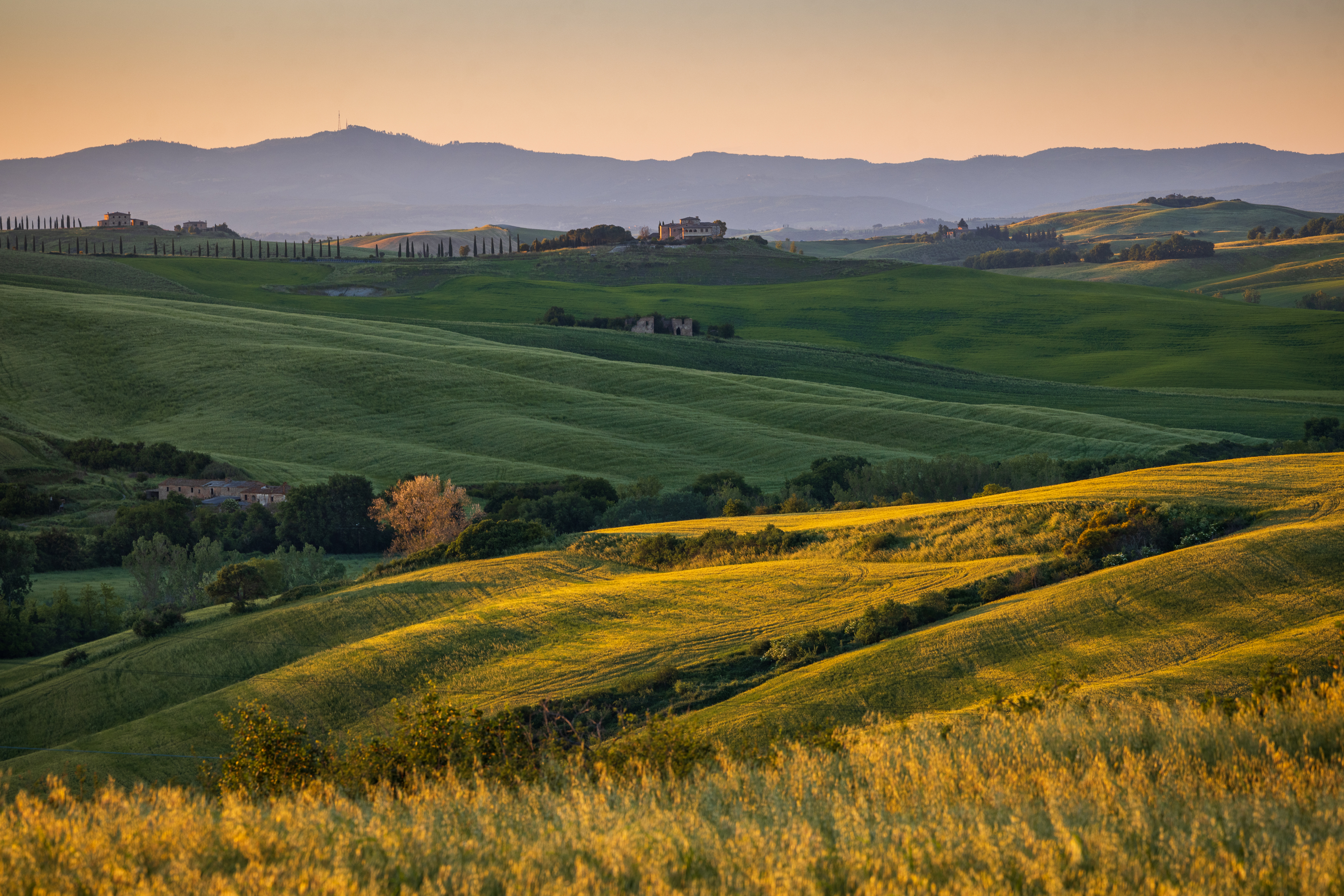 , Алекс Римский