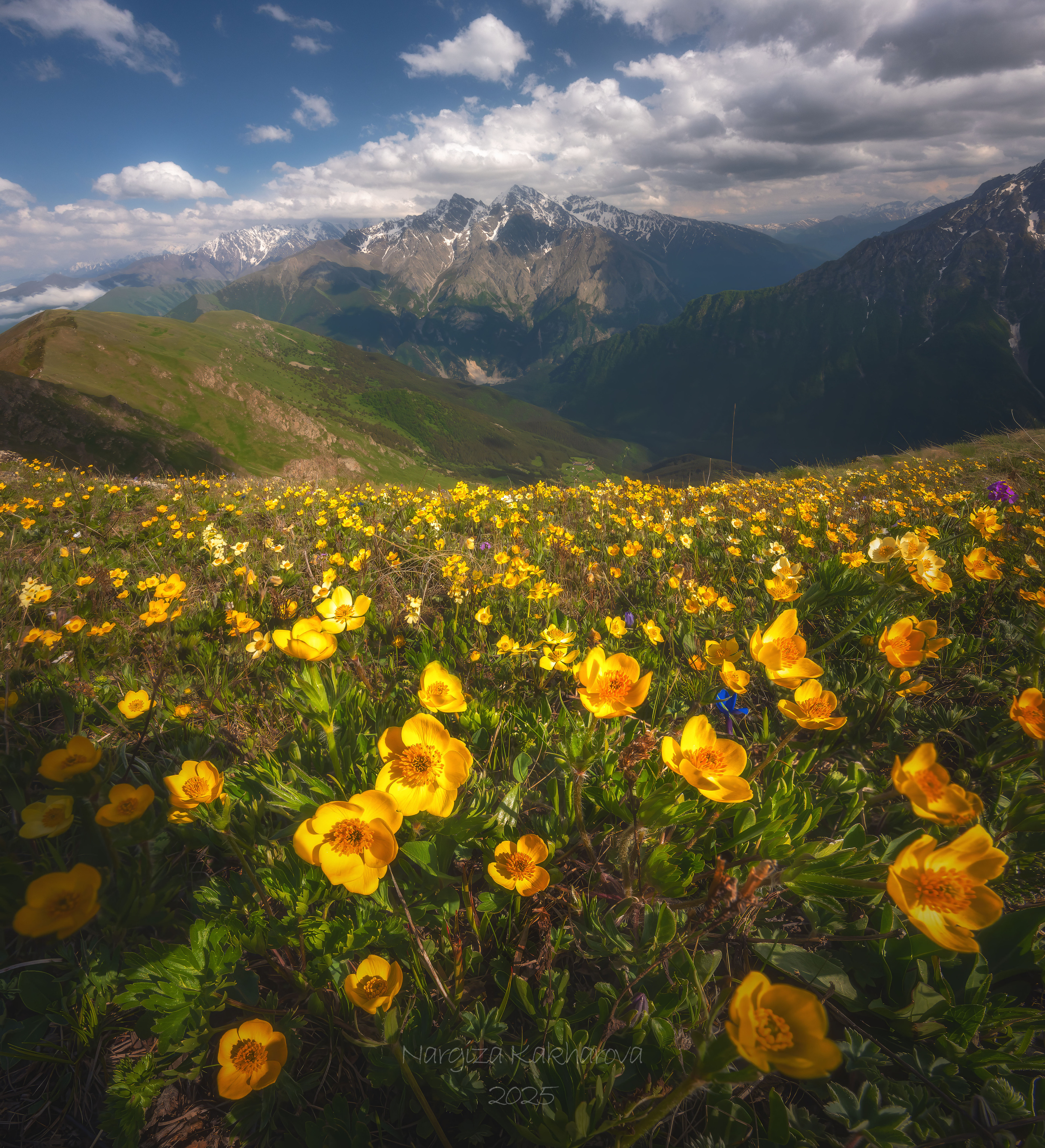 лютики, горы, облака, северная осетия, Nargiza Kakharova