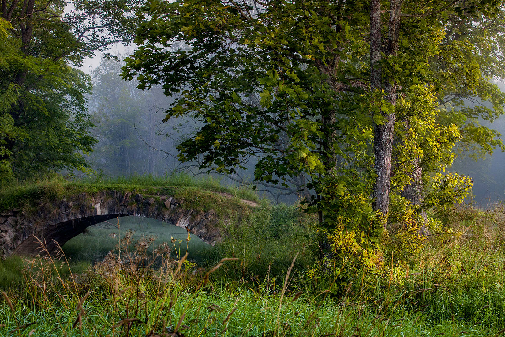 ,  александр михайлов