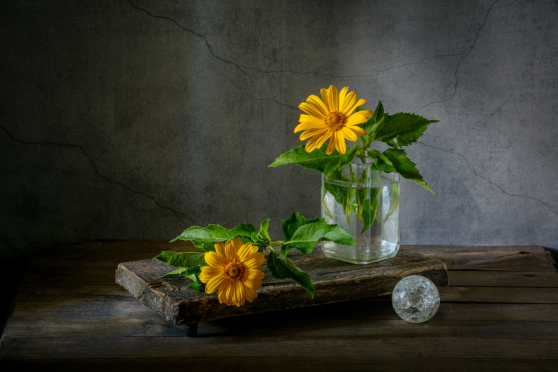 цветы, ложный подсолнух, подставка, стеклянный шар, Алексей Бычков