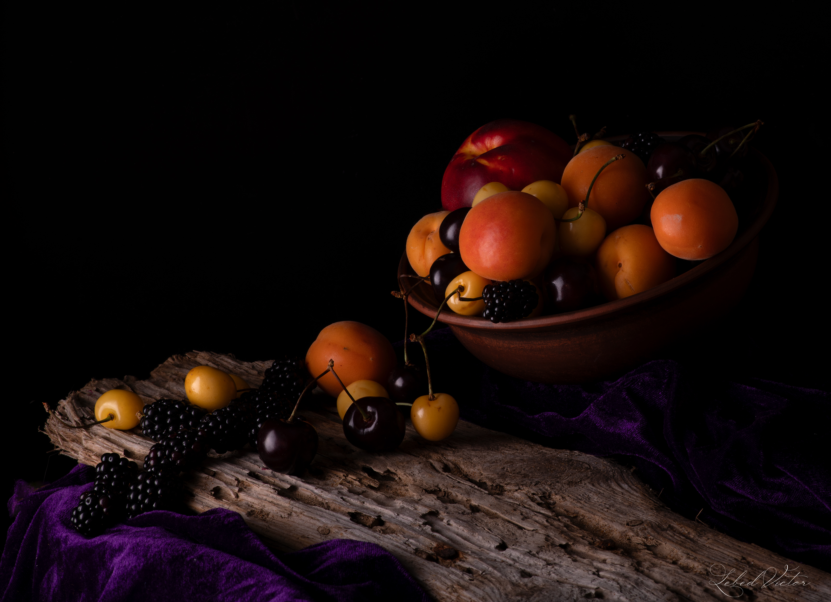 , Виктор Лебедь