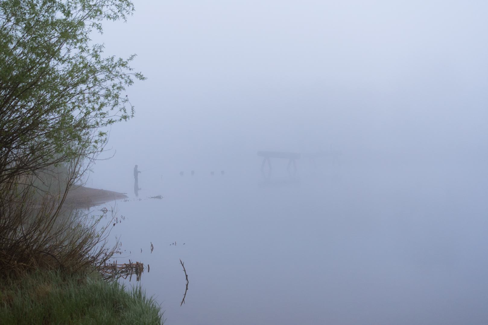 , Алексей Проняхин