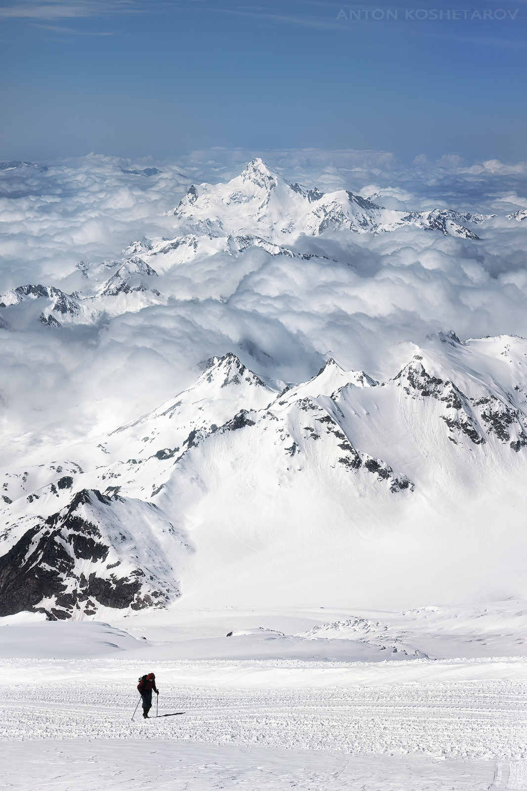 , Антон Кошетаров