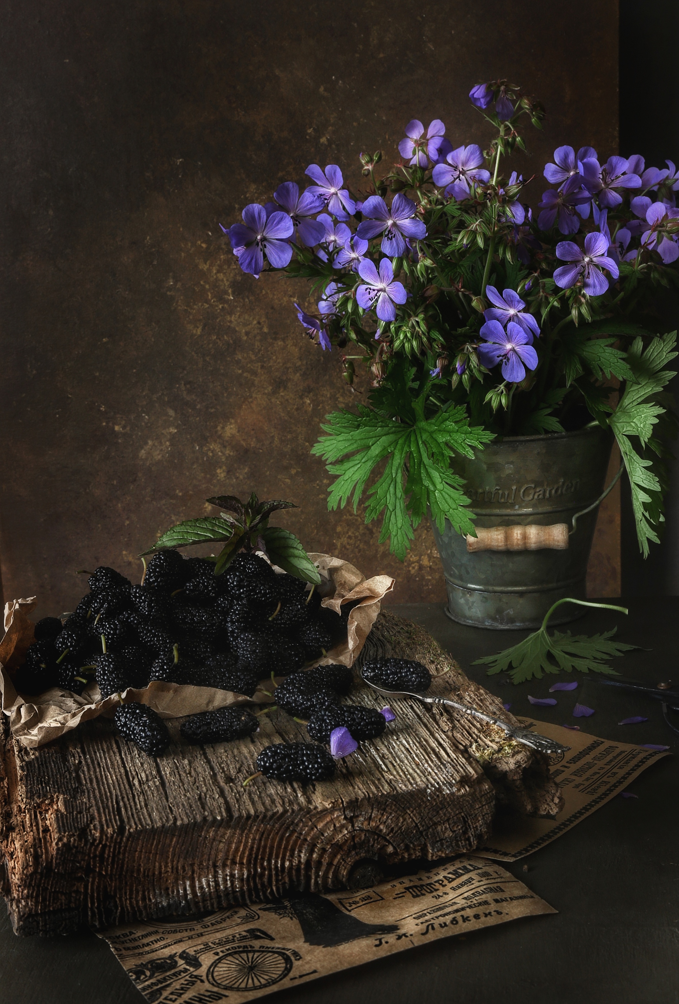 , Angelica Medvedeva