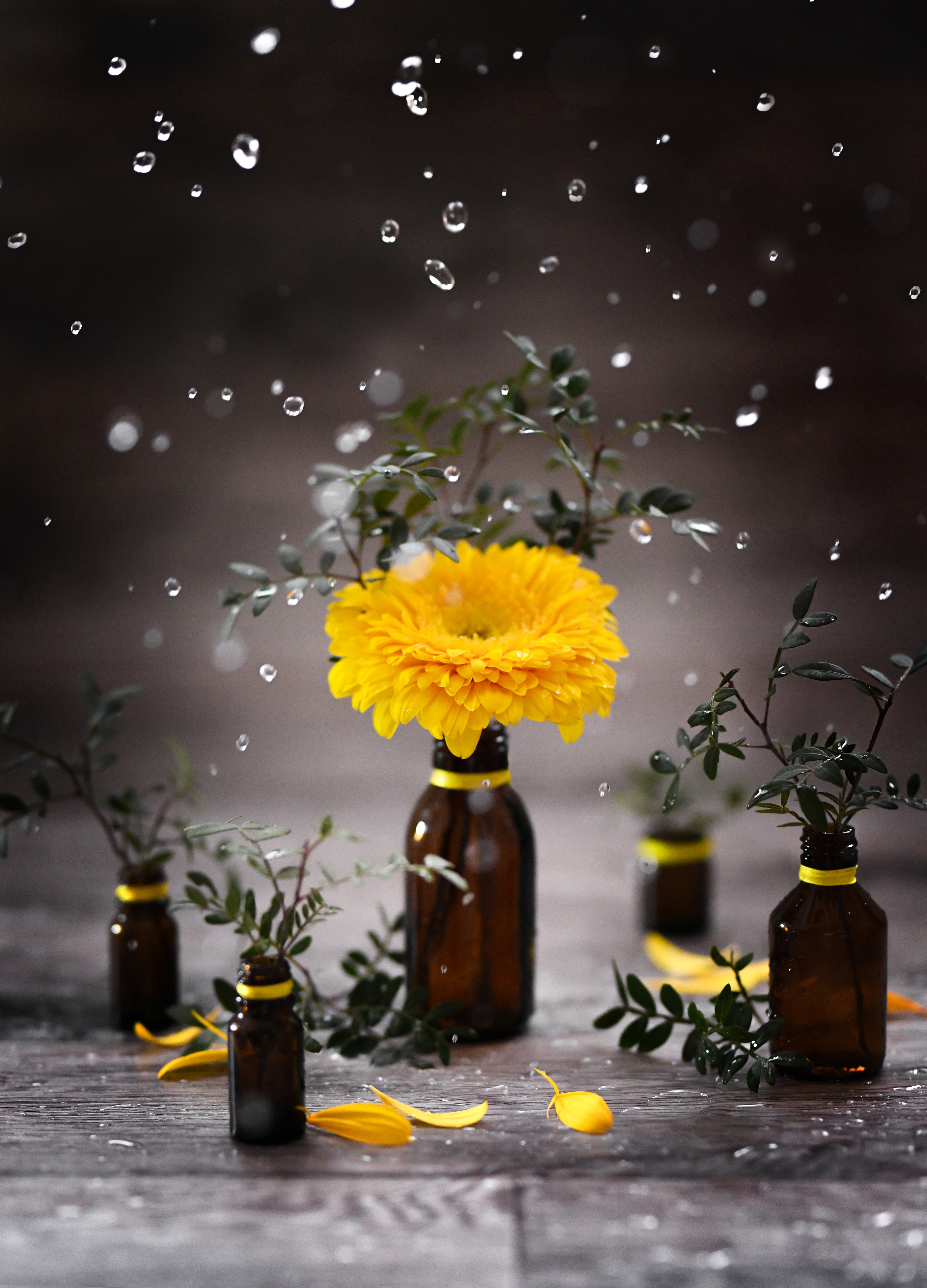 , Анна Штабель