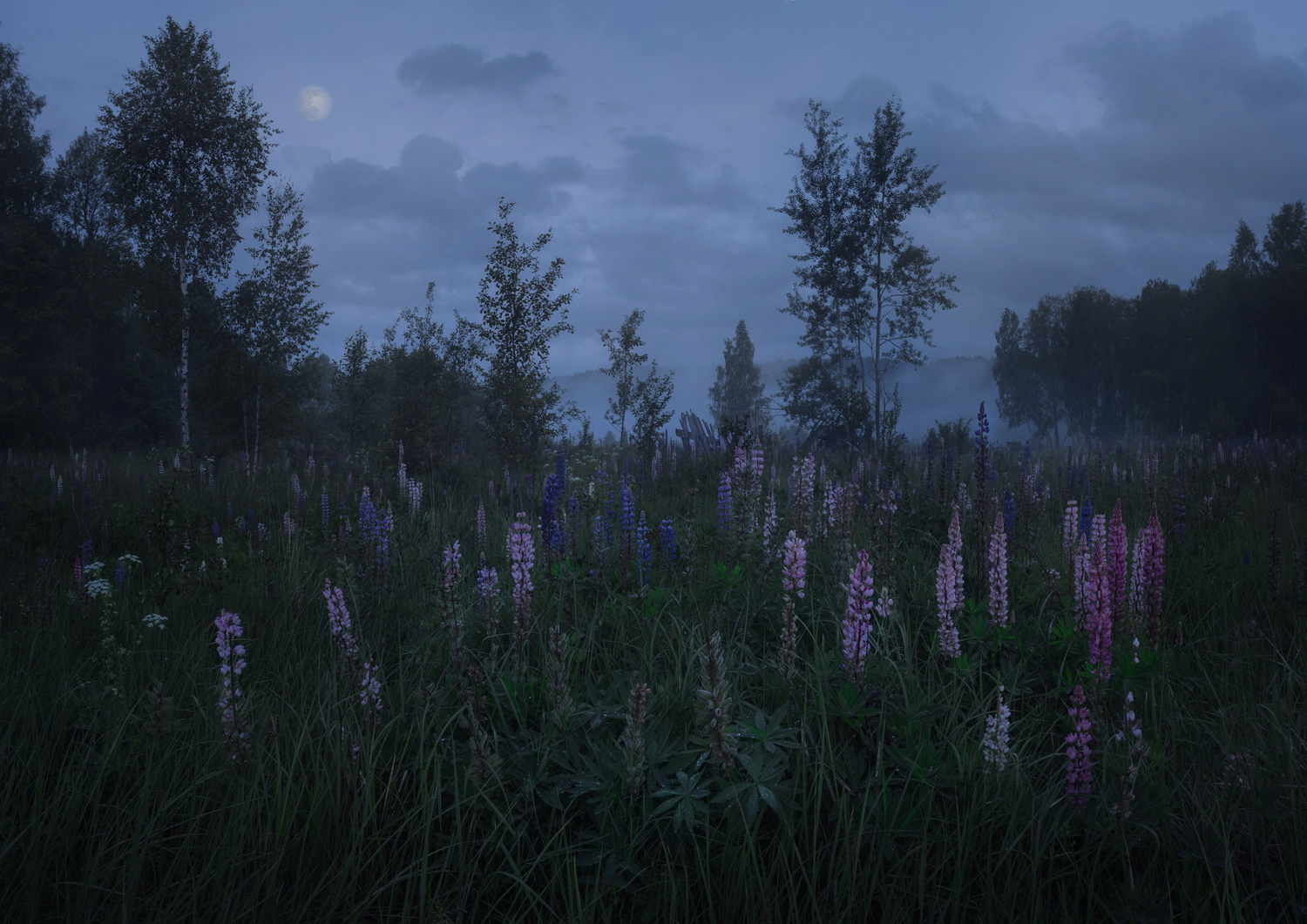 туман, свет, ночь, природа, Баранов Олег