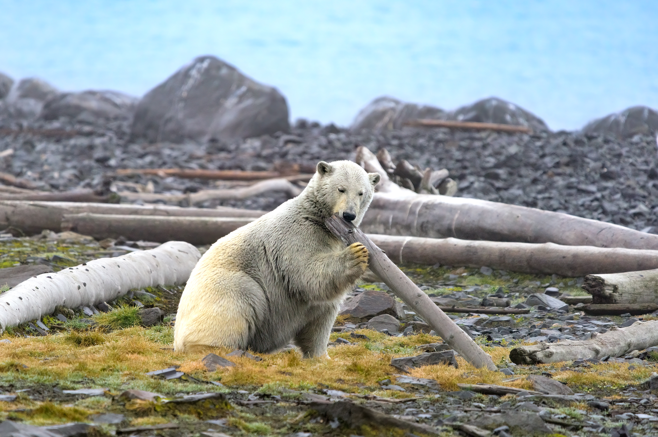 , Юрий Матвеев