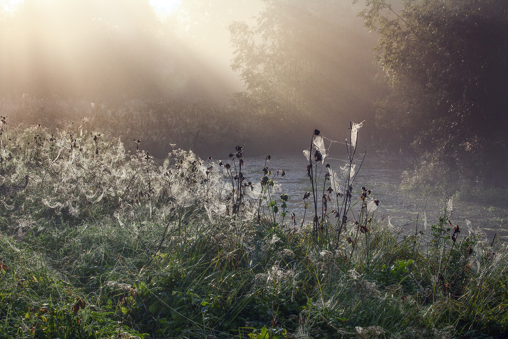 ,  александр михайлов