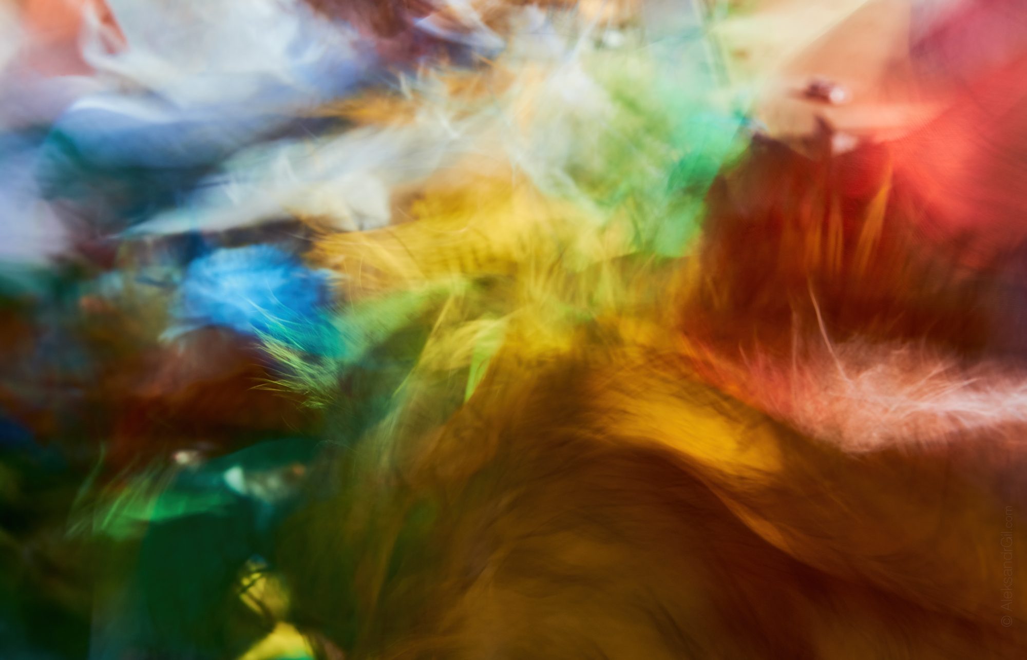 , Гиль Александр