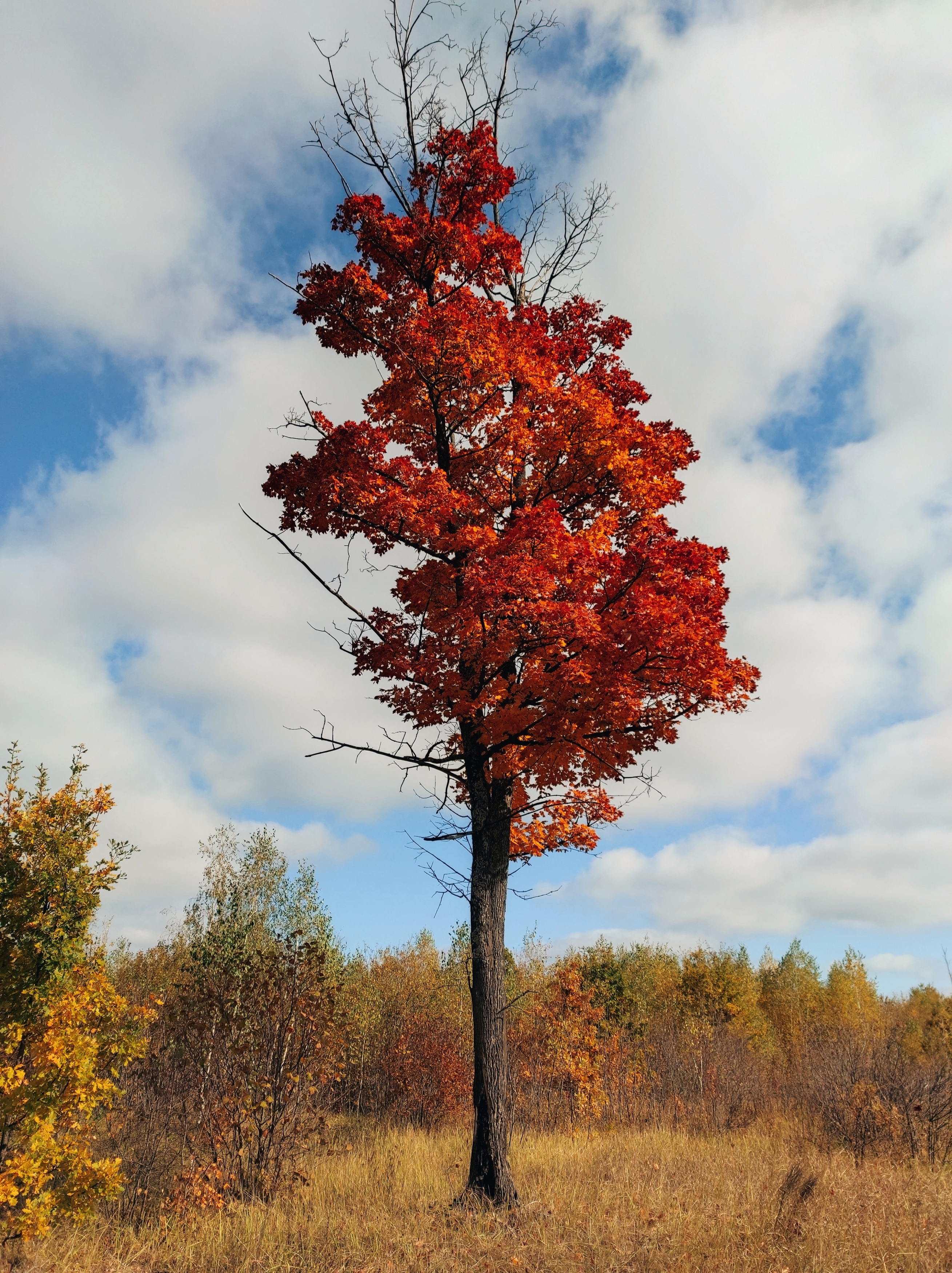 , Фото Александр