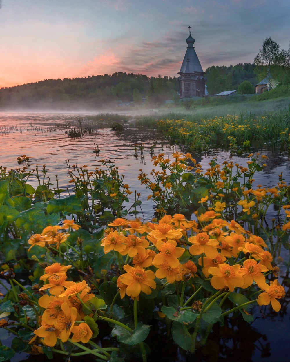 , Петр Косых