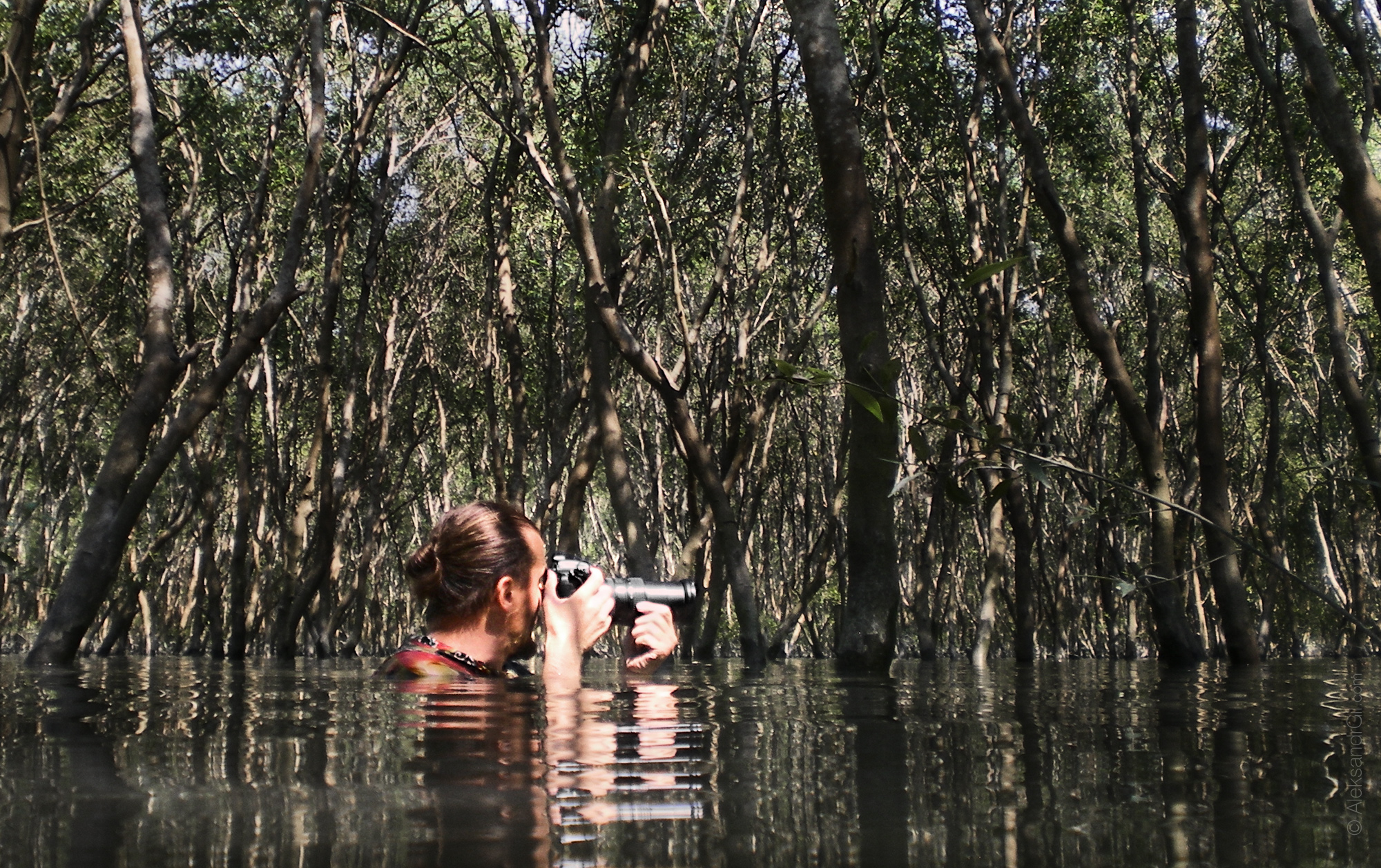 , Гиль Александр
