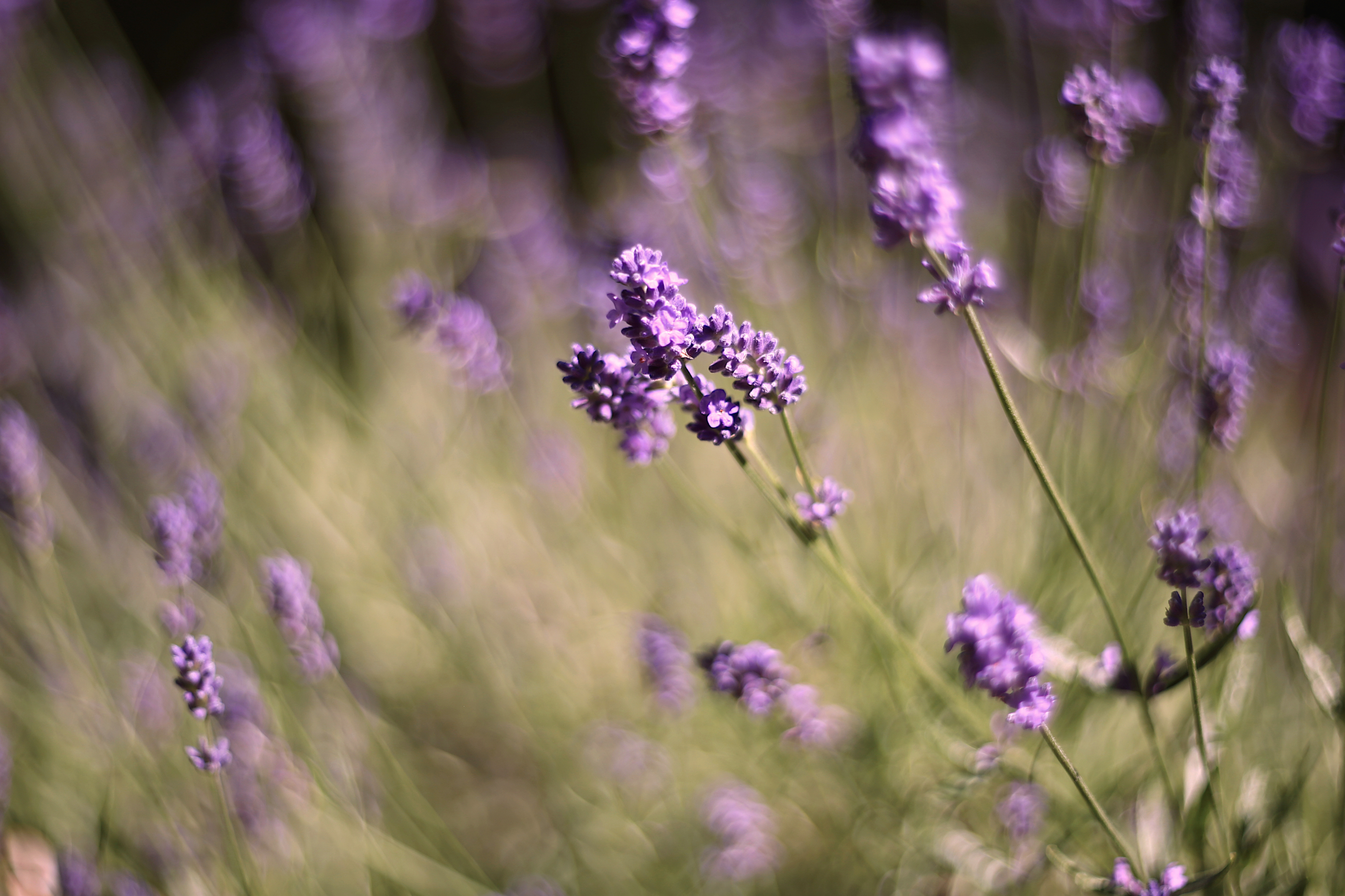 , Колобошников Эдуард