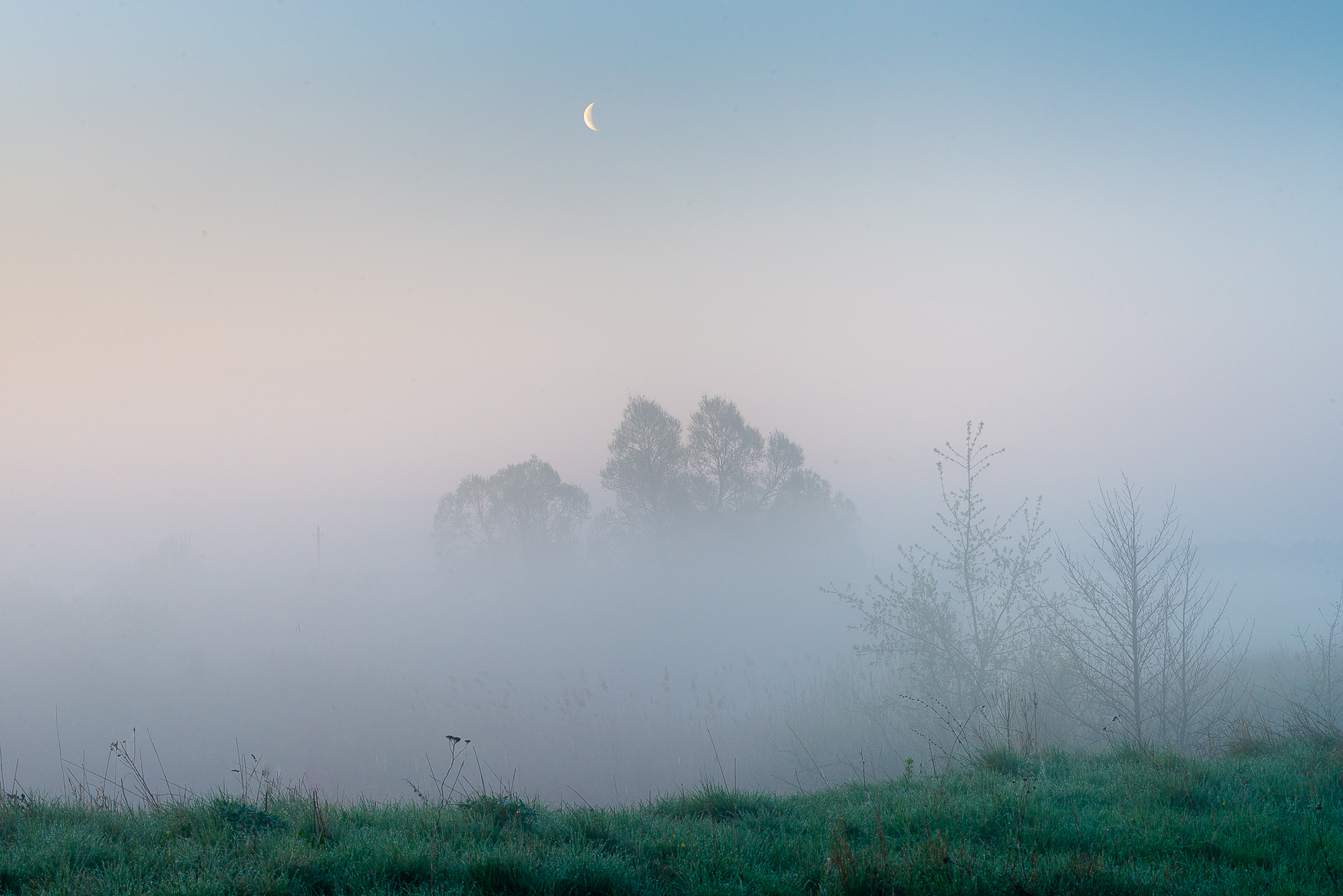 , Роман Игнатьев