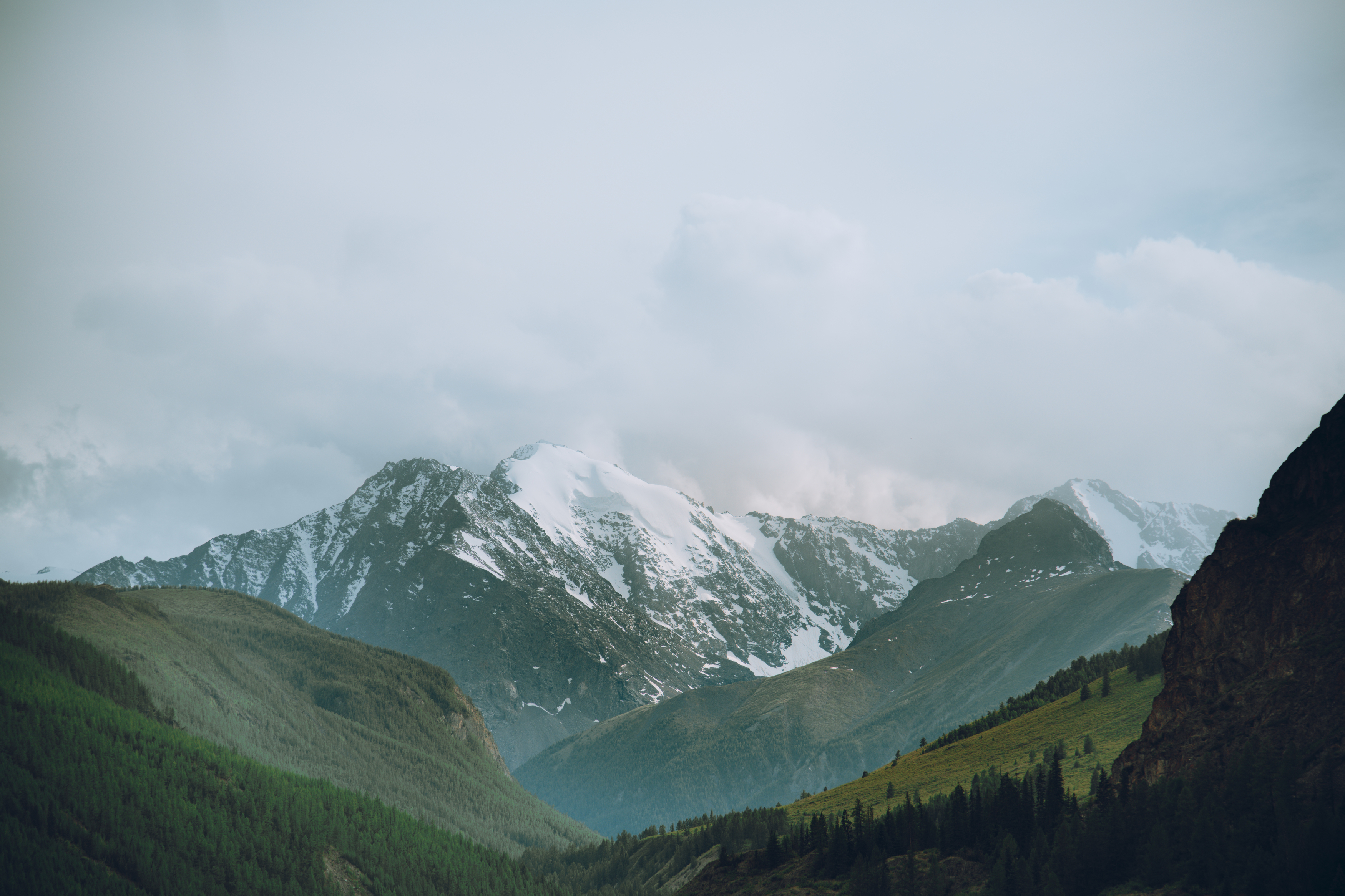 Горы, лес, холмы, снег, скалы, Алтай, Denis Koshkin