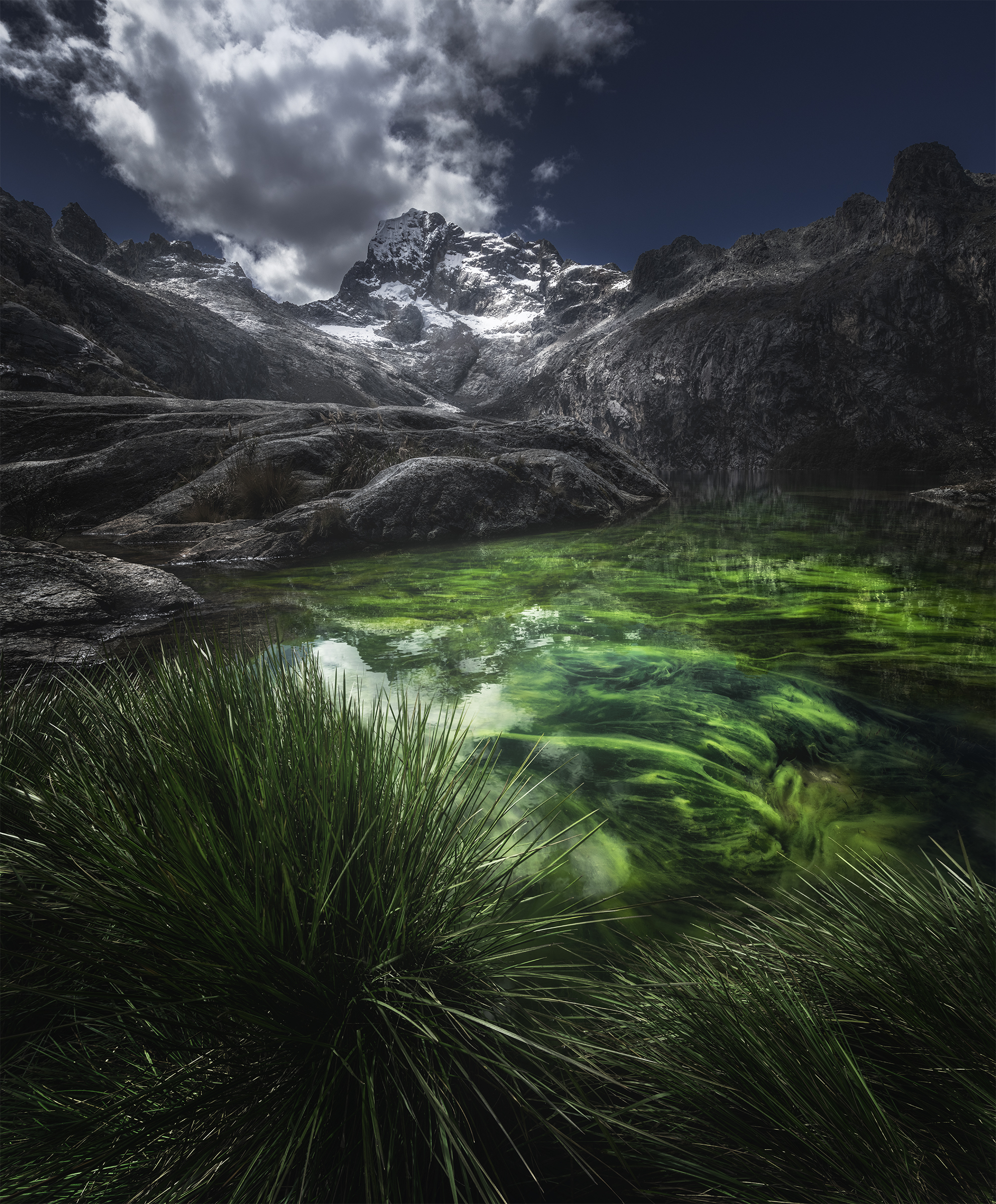 , Политова Анна