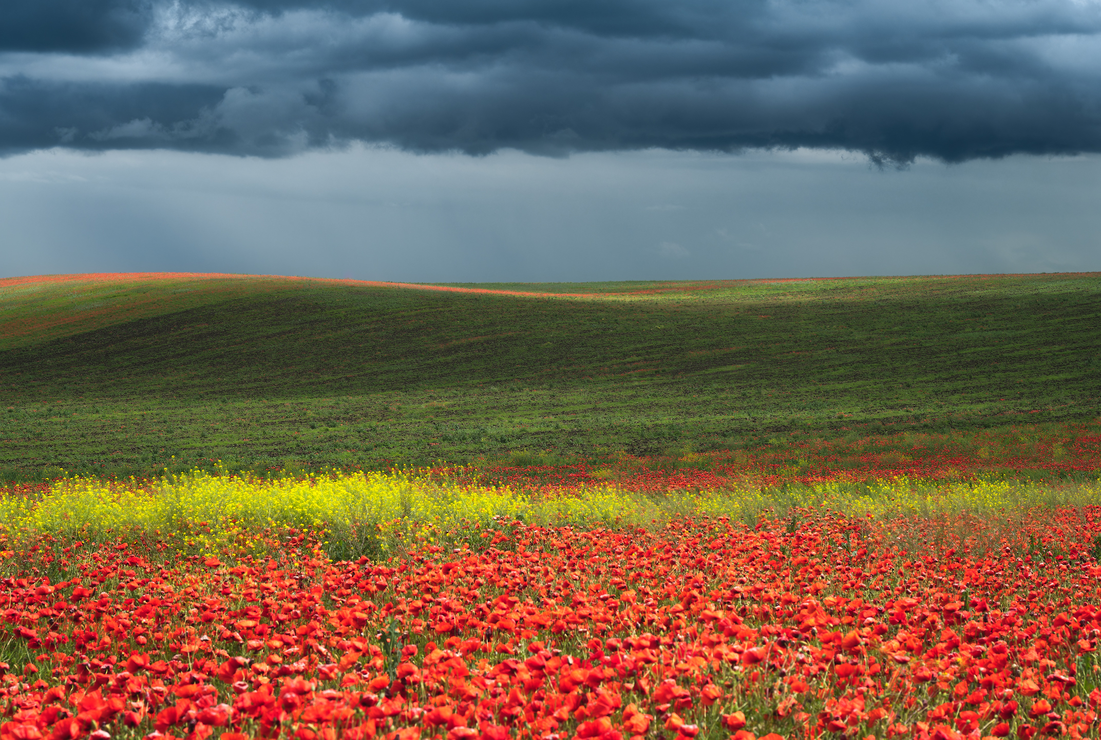 , Виталий Левыкин