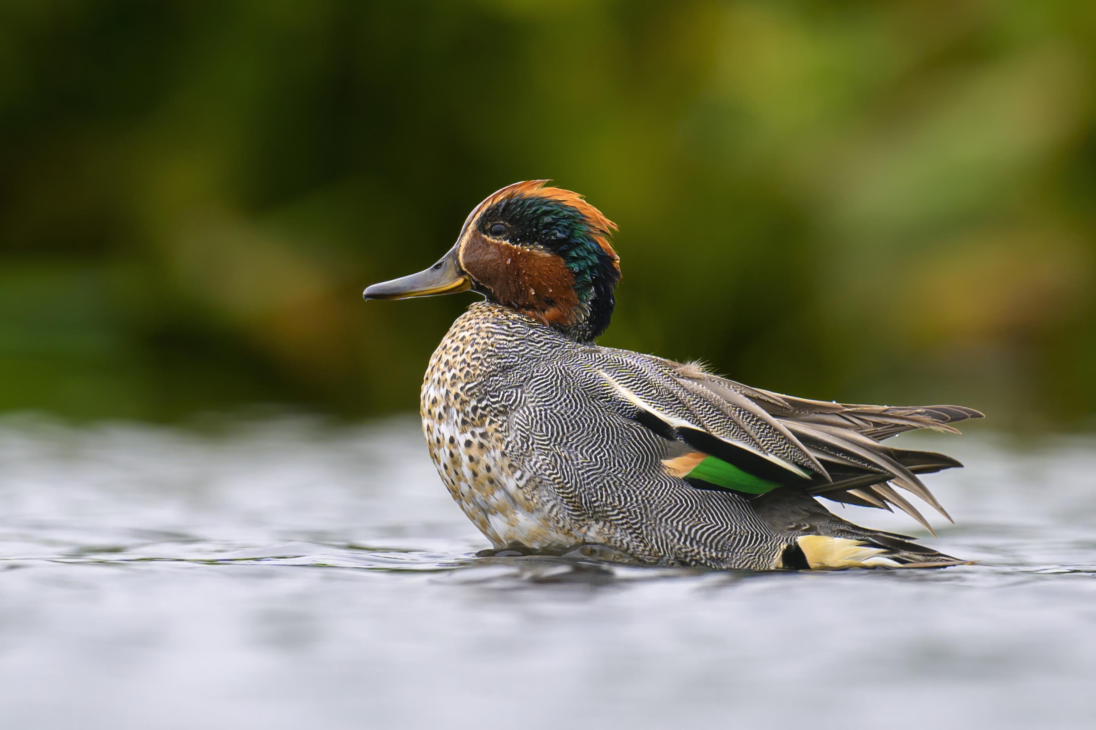 , Пупонин Сергей