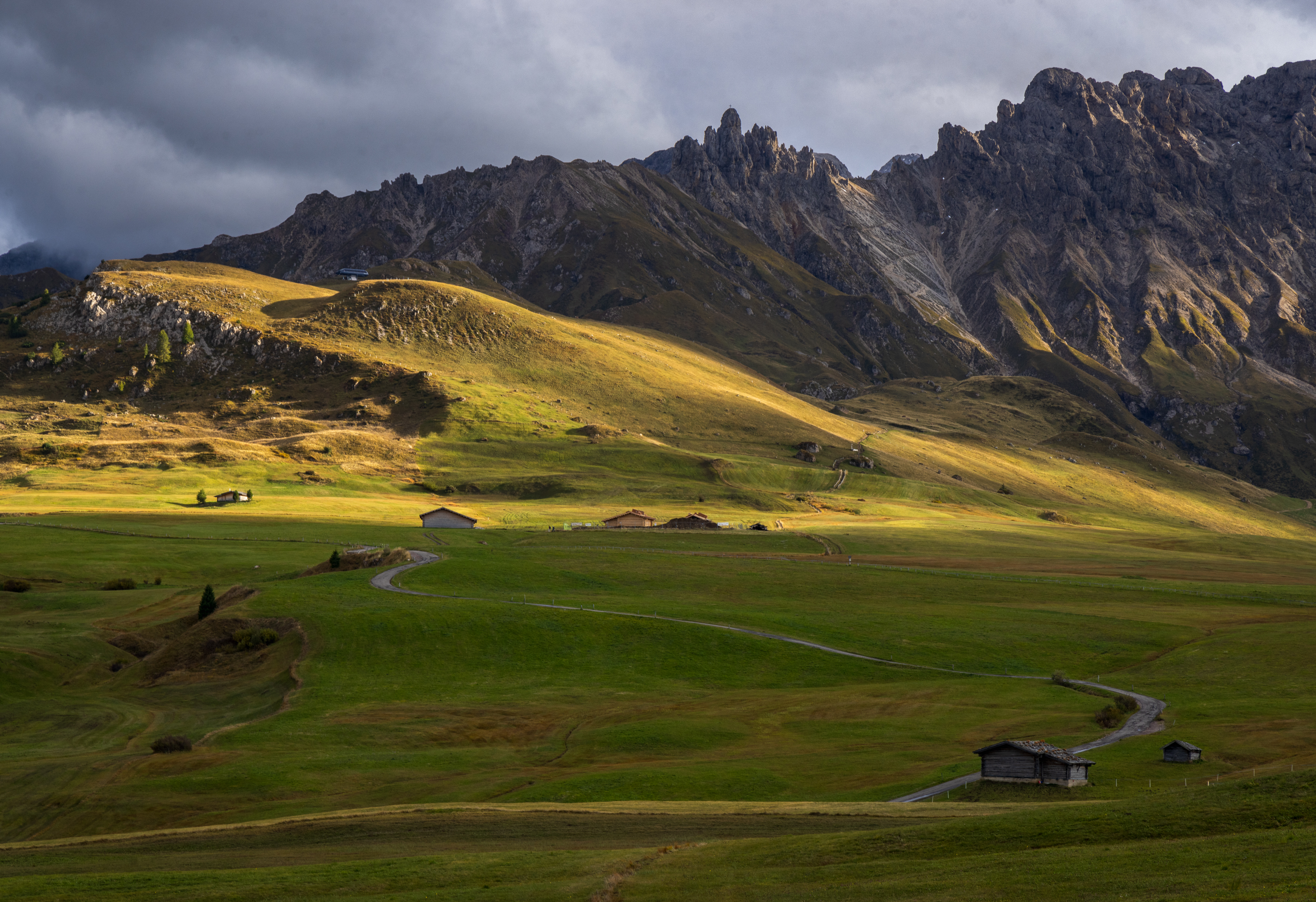 , Алекс Римский