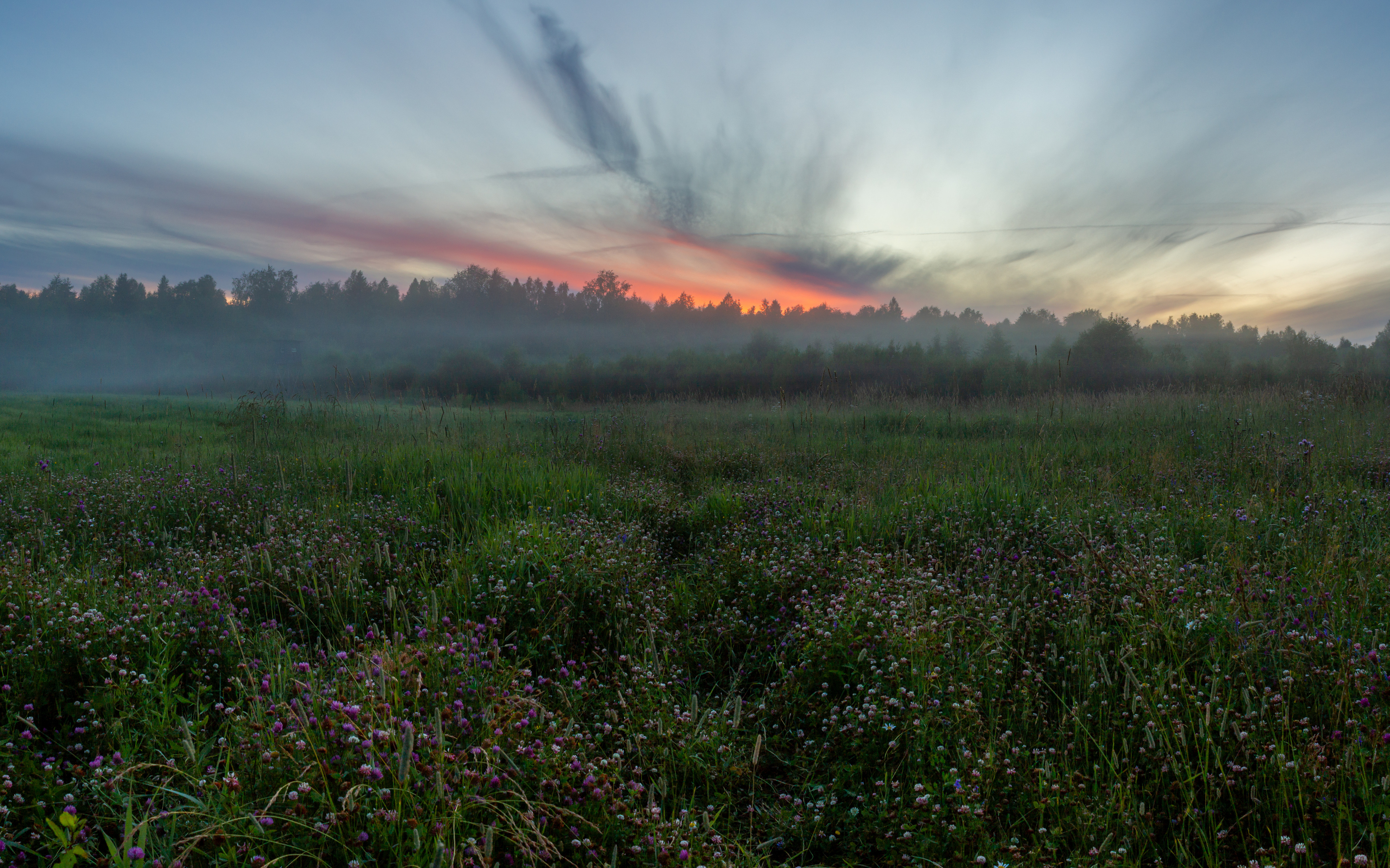 , Комарова Вера