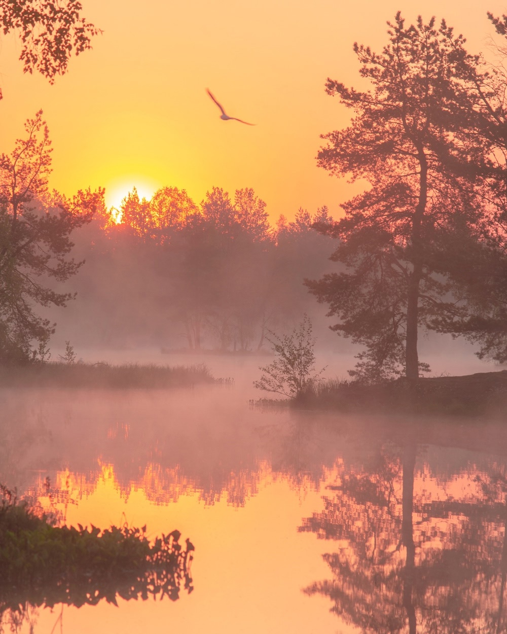 , Петр Косых