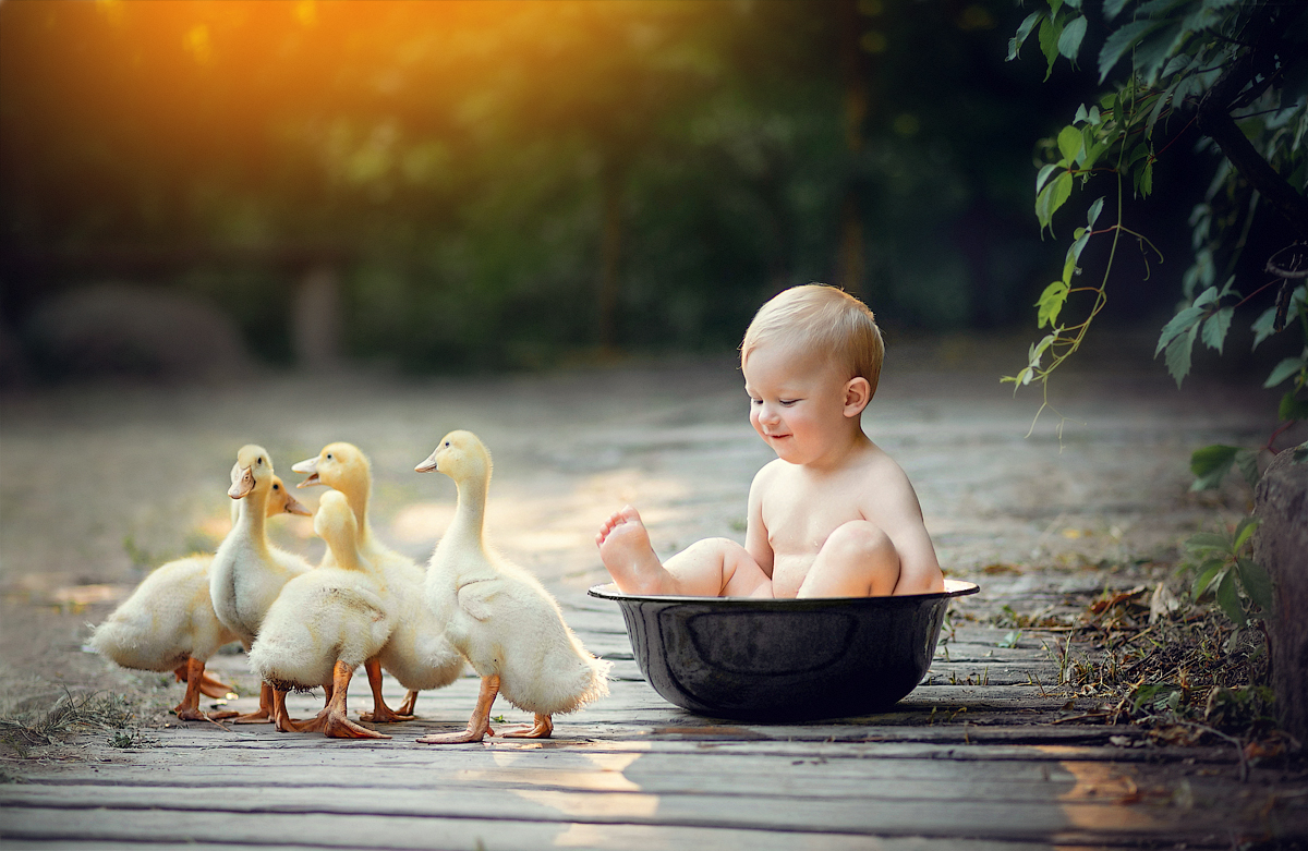 , Деева Елена