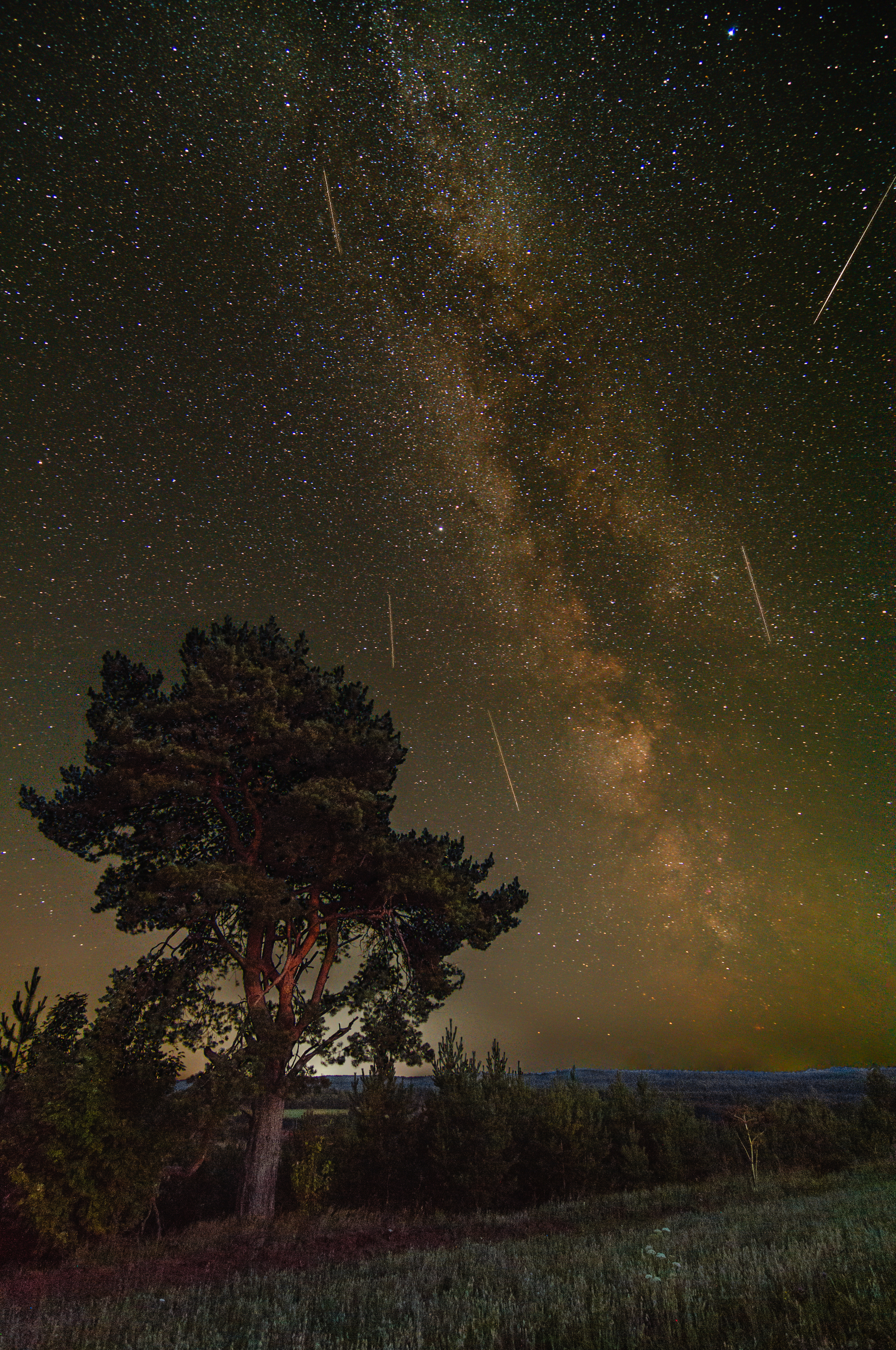 milkyway, starfall, perseids, night, landscape, tree, outdoor, млечный, путь, персеиды, звездопад, пейзаж, ночь, Набоков Андрей