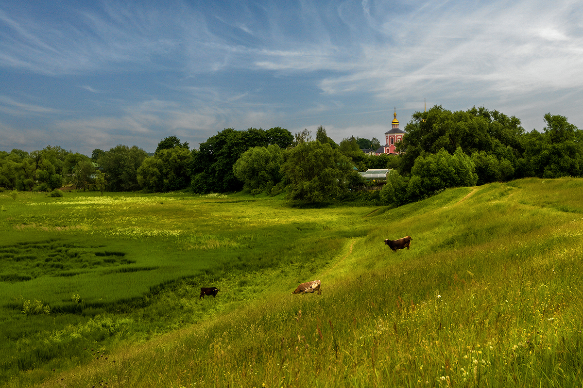 , Владислав Шерман