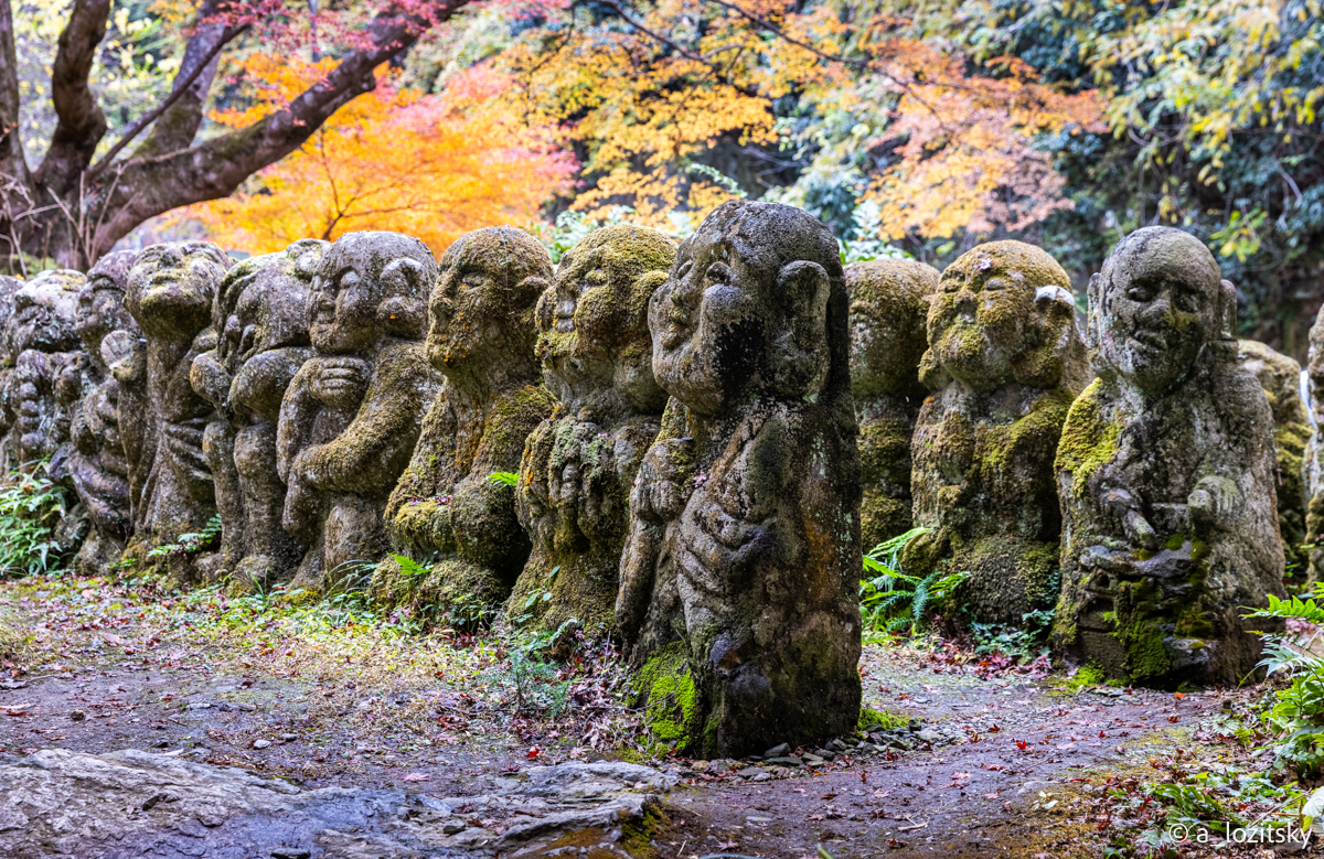 , Лозицкий Александр