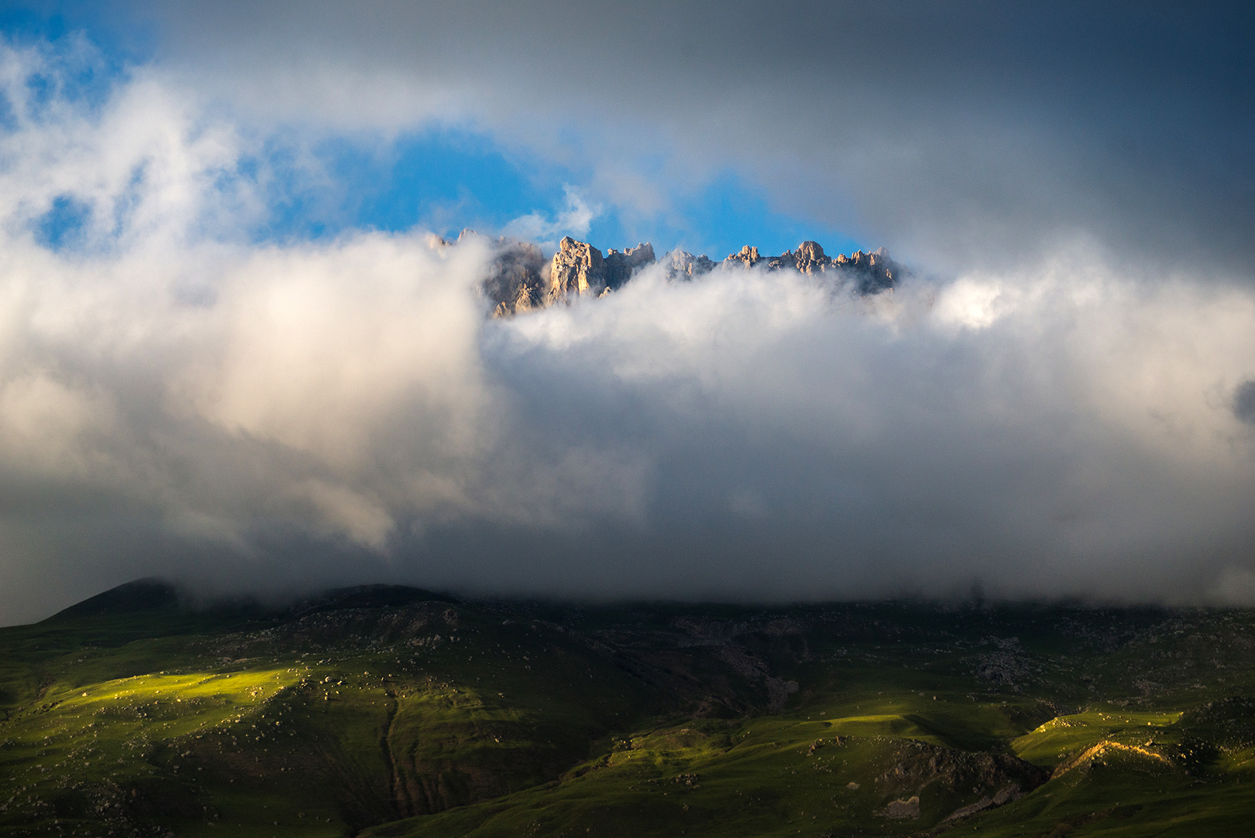 , Юрий Коваленко