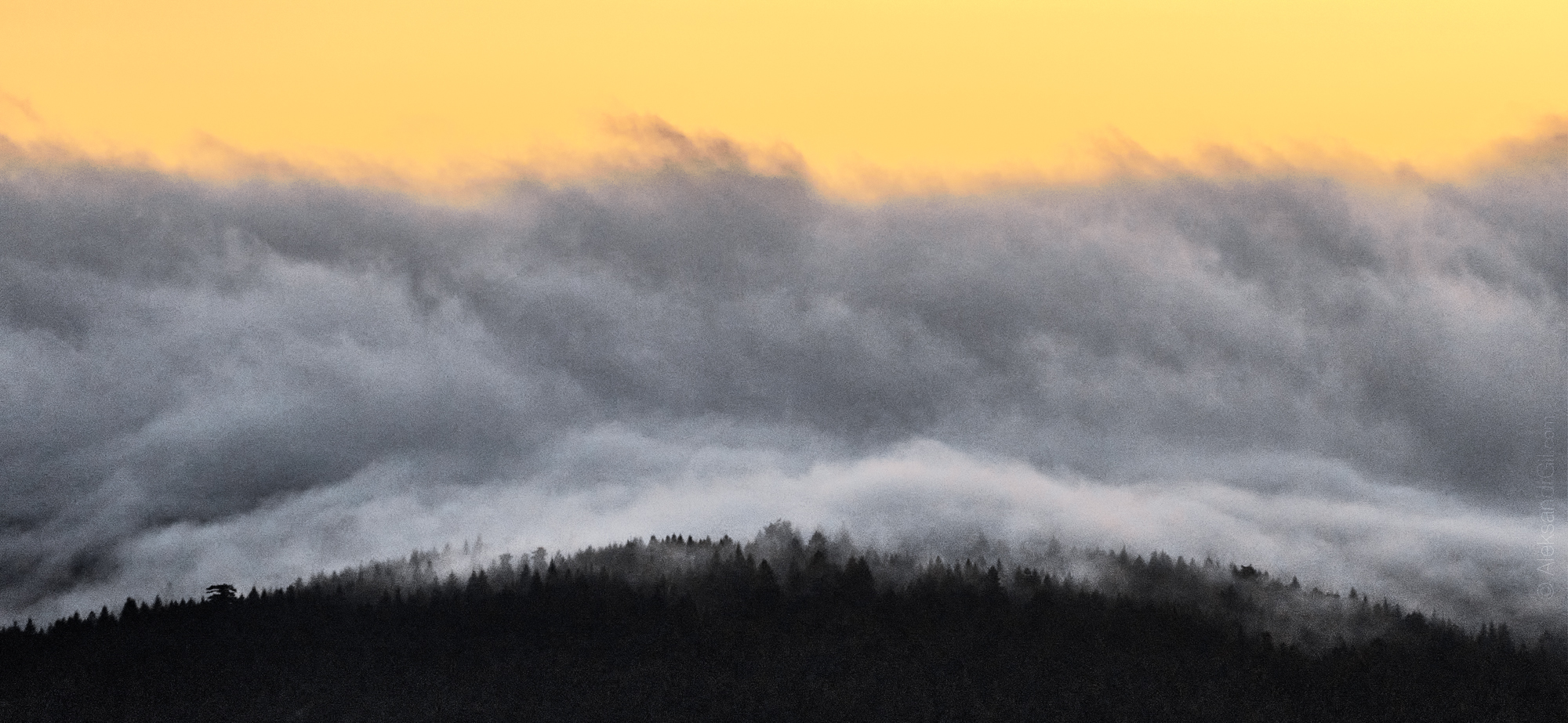 , Гиль Александр